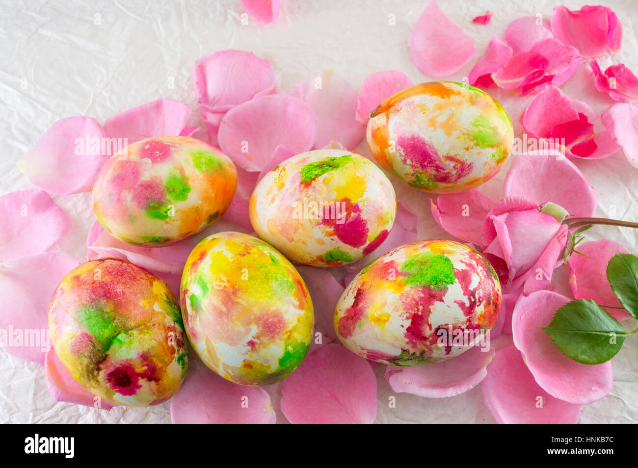 Dipinto di uovo di pasqua posto sulla rosa dei petali di rosa Foto Stock