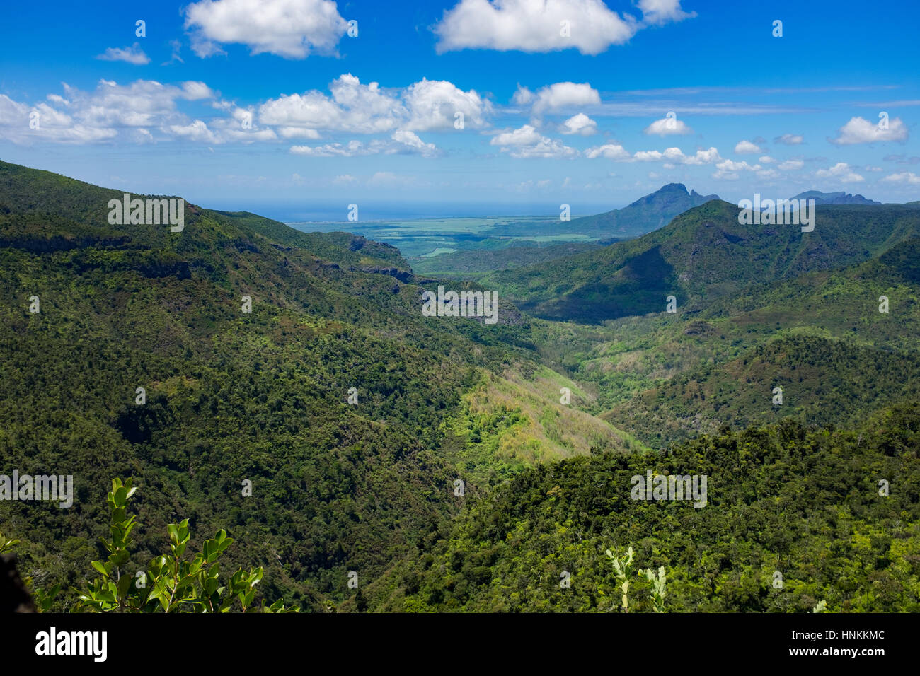 Jungle paradise in Mauritius Foto Stock