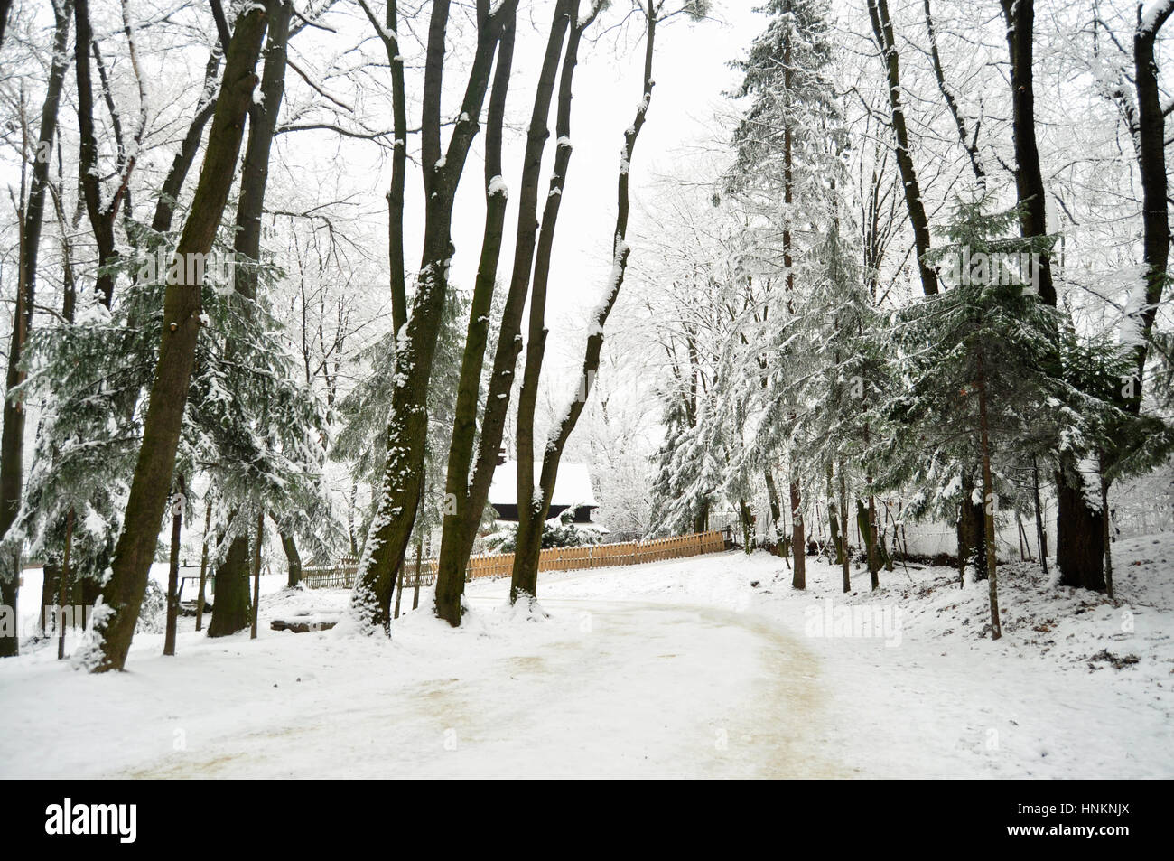 Snowbound inverno foresta con gli elementi di decorazione in legno - cottage in legno e una recinzione. Skansen Shevchenkivskyi Hai, Lviv ucraina. Foto Stock