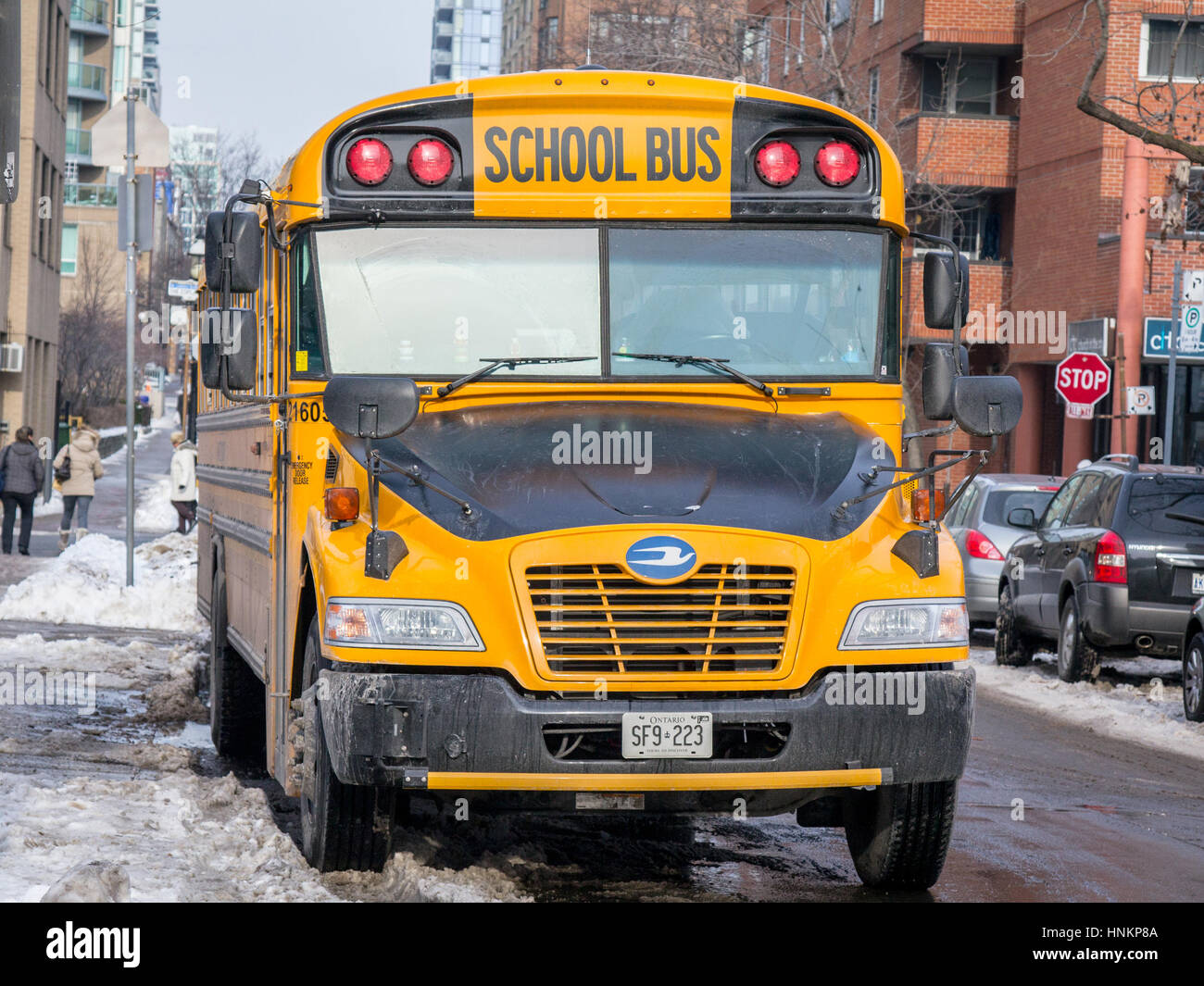Toronto, Canada - 21 dicembre 2016: blue bird vision school bus in attesa di servizio in una parte residenziale del centro cittadino di Toronto, Ontario, Canada Foto Stock