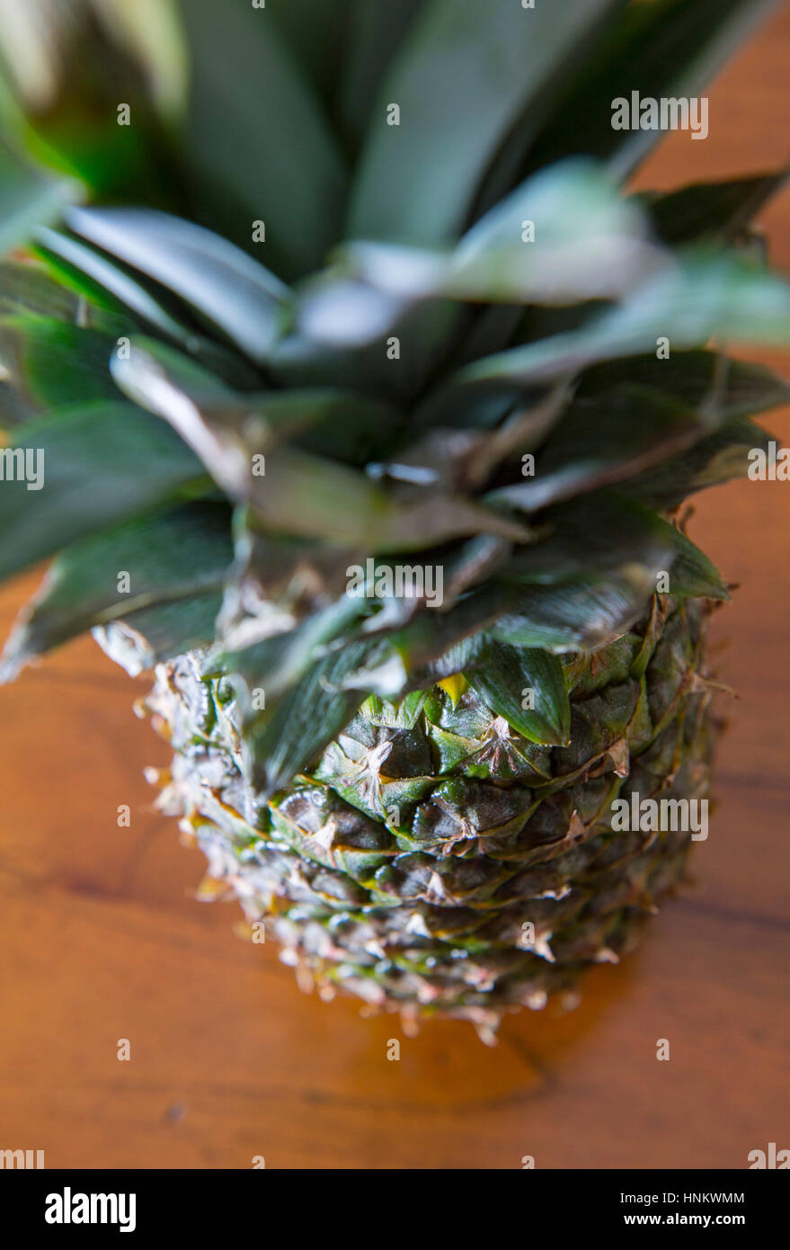 Close up di un ananas fresco frutta esotica Foto Stock