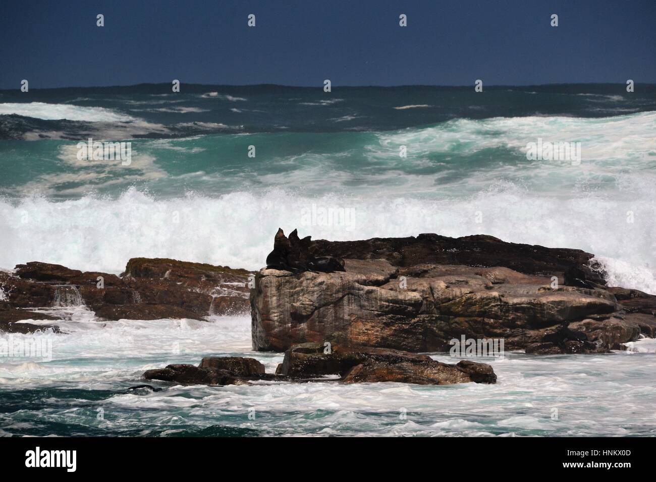 Capo di Buona Speranza Foto Stock