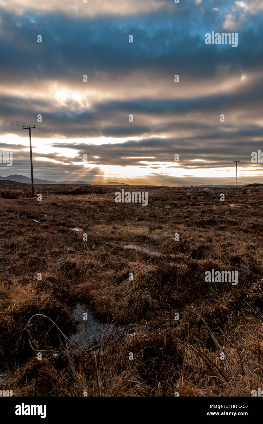 Blanket bog paesaggio, County Donegal, Irlanda Foto Stock