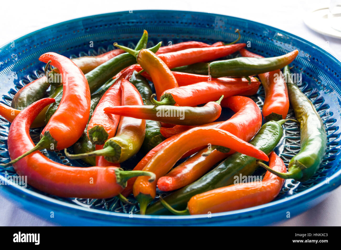 Il peperoncino, il Cile, il peperoncino, piante da frutta del genere Capsicum, membri della famiglia di nightshade, solanacee. Foto Stock