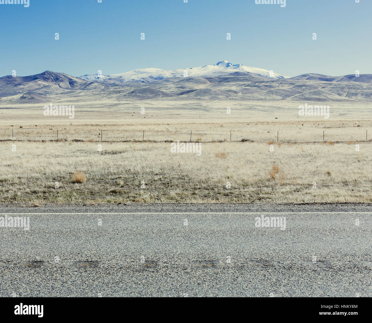 Montagne innevate e terreni agricoli nelle zone rurali del Nevada, USA. Foto Stock