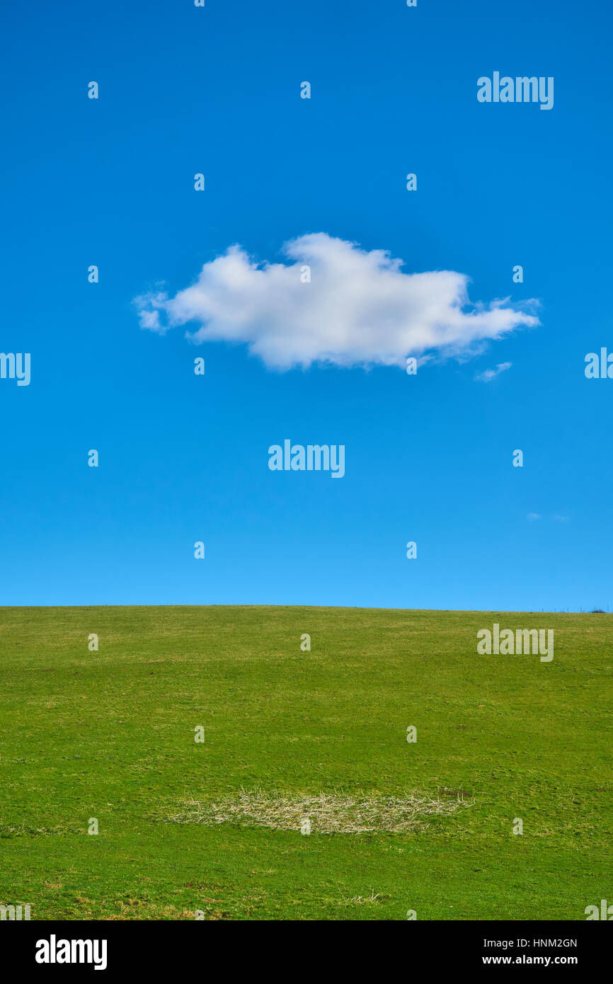 Solitaria nuvola bianca in un cielo blu su un campo verde Foto Stock