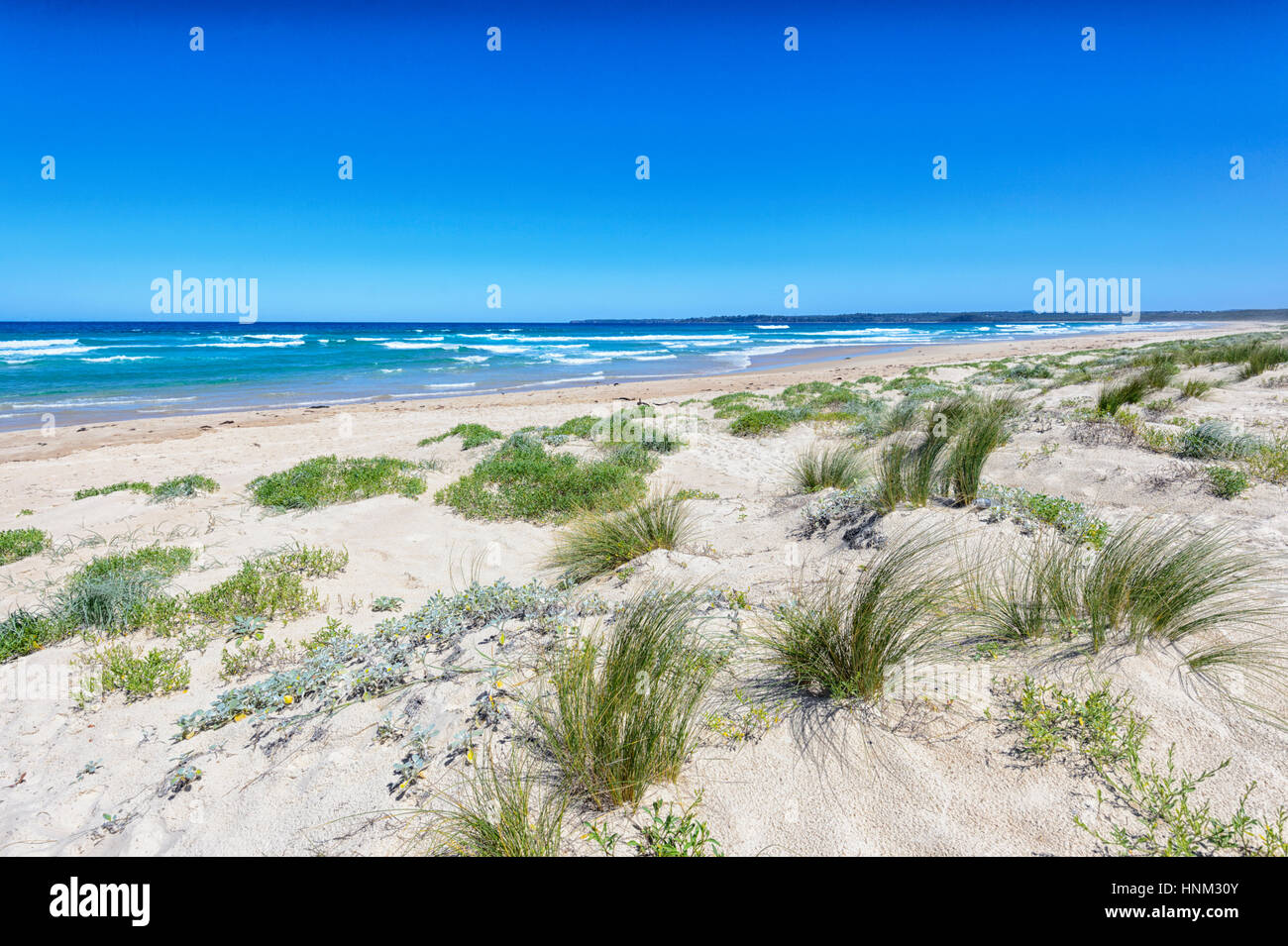 Spiaggia di sabbia in riva al lago di Conjola, Shoalhaven, South Coast, Nuovo Galles del Sud, NSW, Australia Foto Stock
