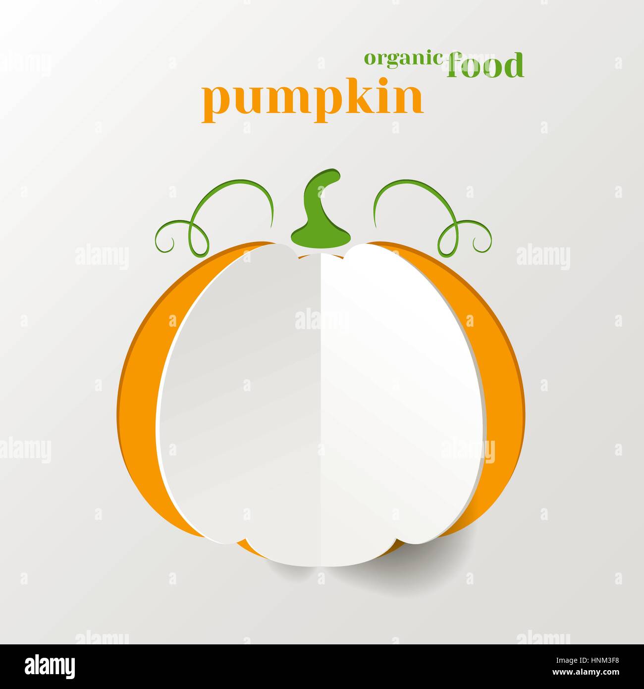 Zucca creativo su sfondo bianco, cibo organico concetto Illustrazione Vettoriale