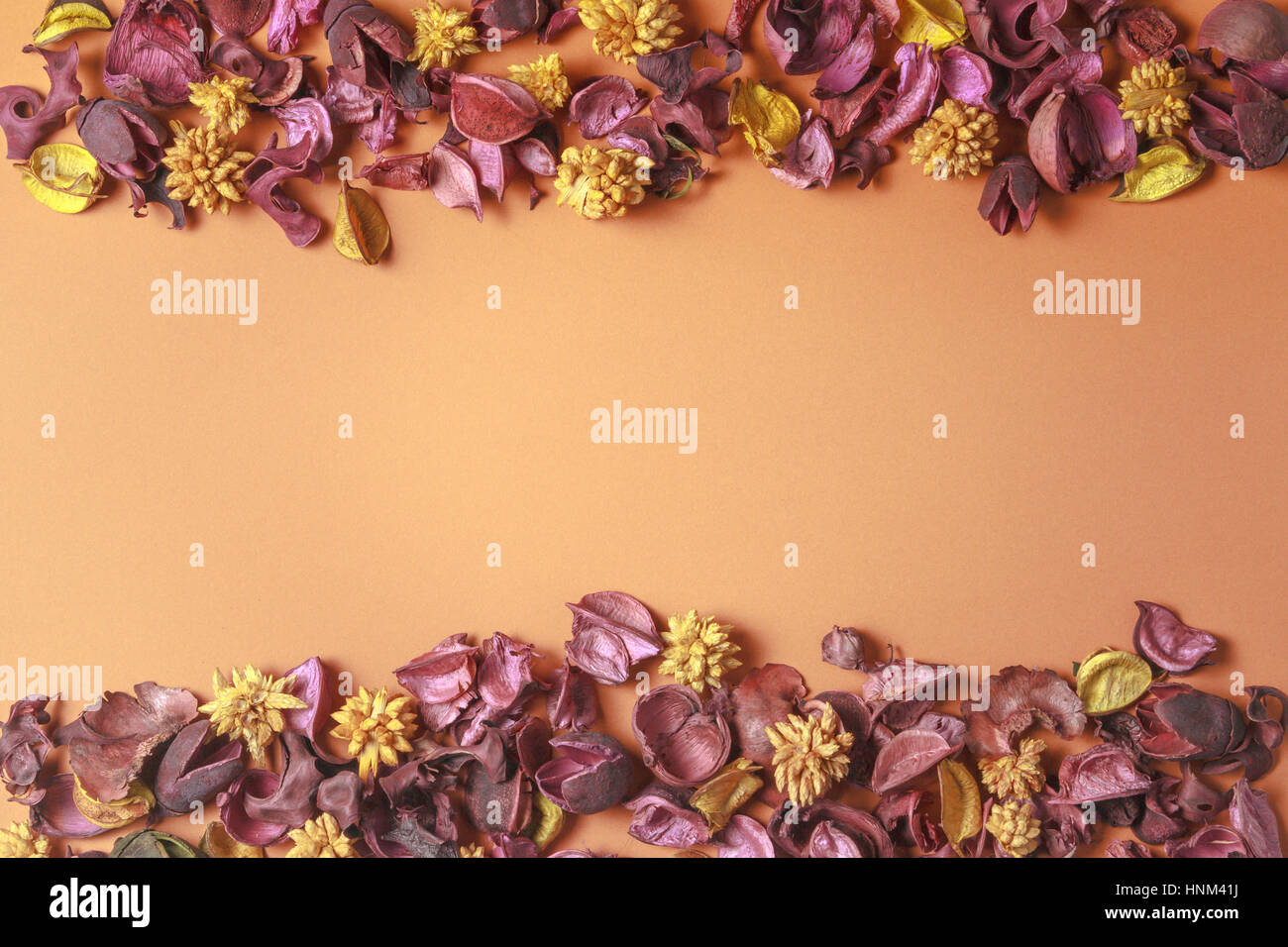 Fiori Secchi composizione su sfondo colorato. Telaio di frontiera fatta di fiori secchi e foglie. Vista superiore, piatto laici. Foto Stock