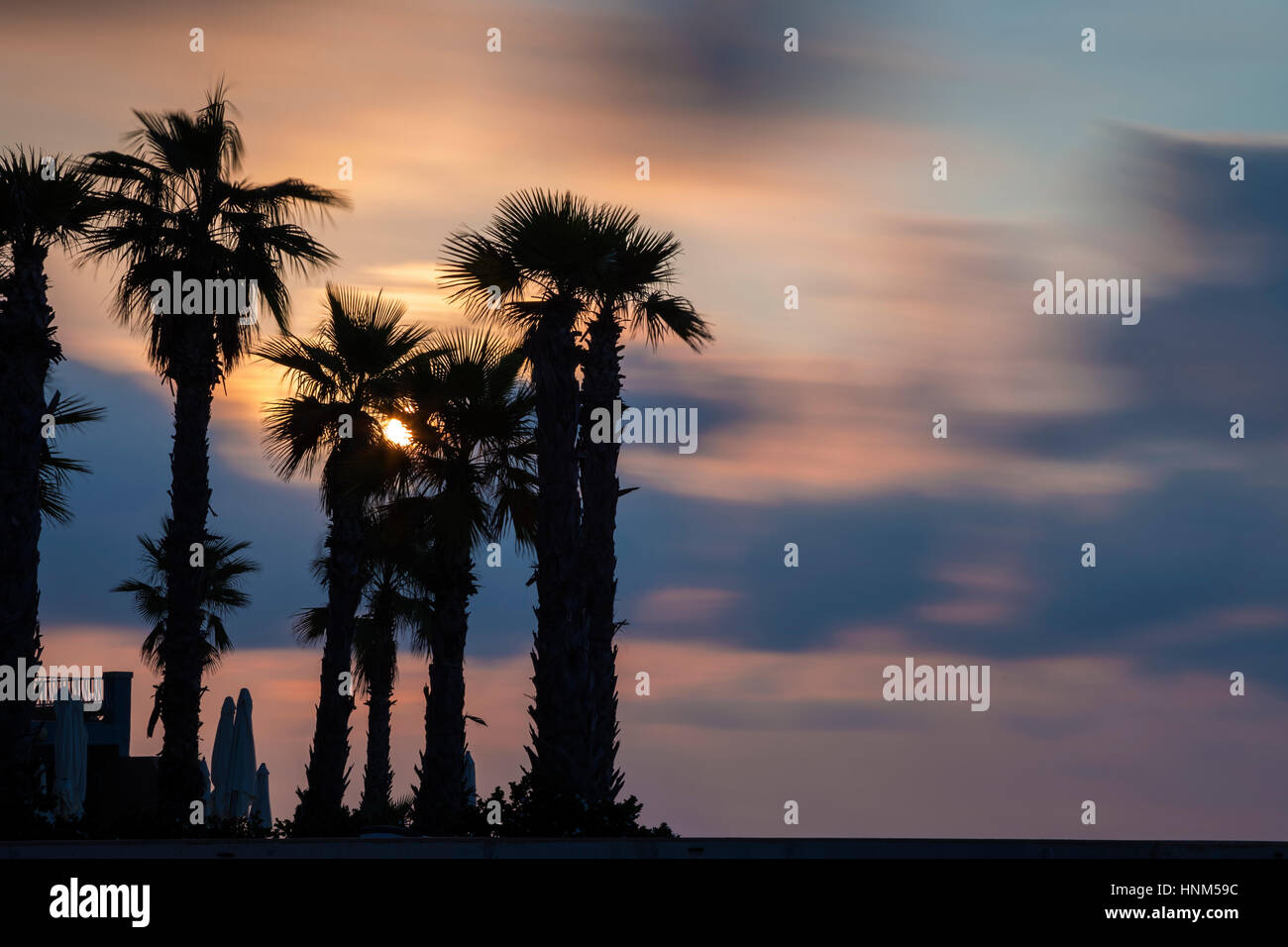 St.Julians, Malta - Silhouette di palme sul tramonto colorato con nuvole in movimento Foto Stock