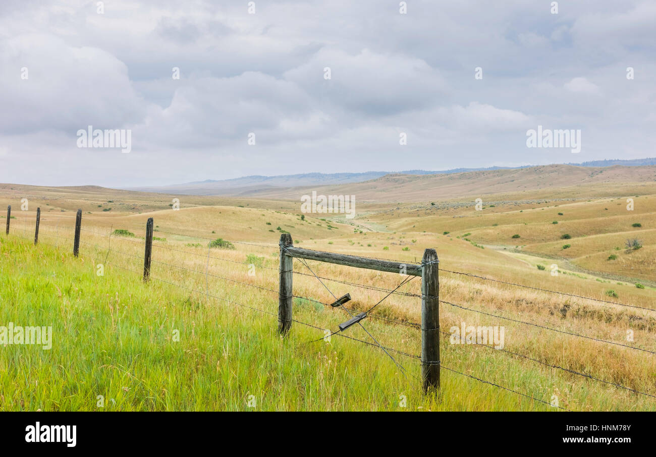 Billings, Montana, USA. Vista su tutta la laminazione endless paesaggio della prateria e l'onnipresente recinzioni di filo per la delimitazione di proprietà fondiaria. Foto Stock