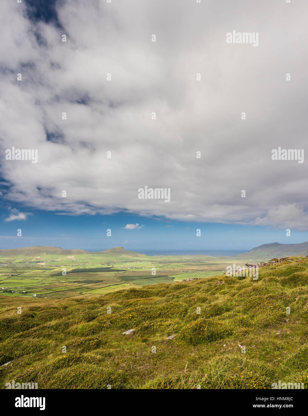 Vista sulle montagne, bog e brughiera del western Penisola di Dingle dal percorso a piedi sulla cima di Reenconnell, nella contea di Kerry, Irlanda Foto Stock