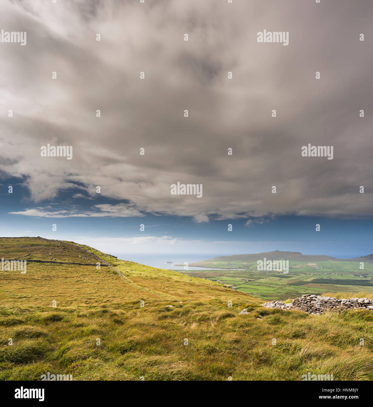 Vista sulle montagne, bog e brughiera del western Penisola di Dingle dal percorso a piedi sulla cima di Reenconnell, nella contea di Kerry, Irlanda Foto Stock
