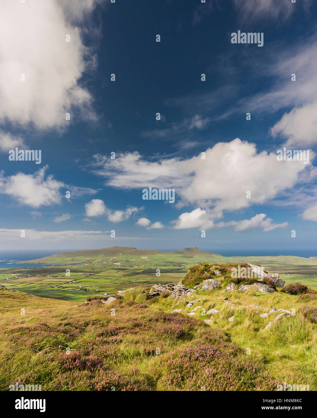 Vista sulle montagne, bog e brughiera del western Penisola di Dingle dal percorso a piedi sulla cima di Reenconnell, nella contea di Kerry, Irlanda Foto Stock