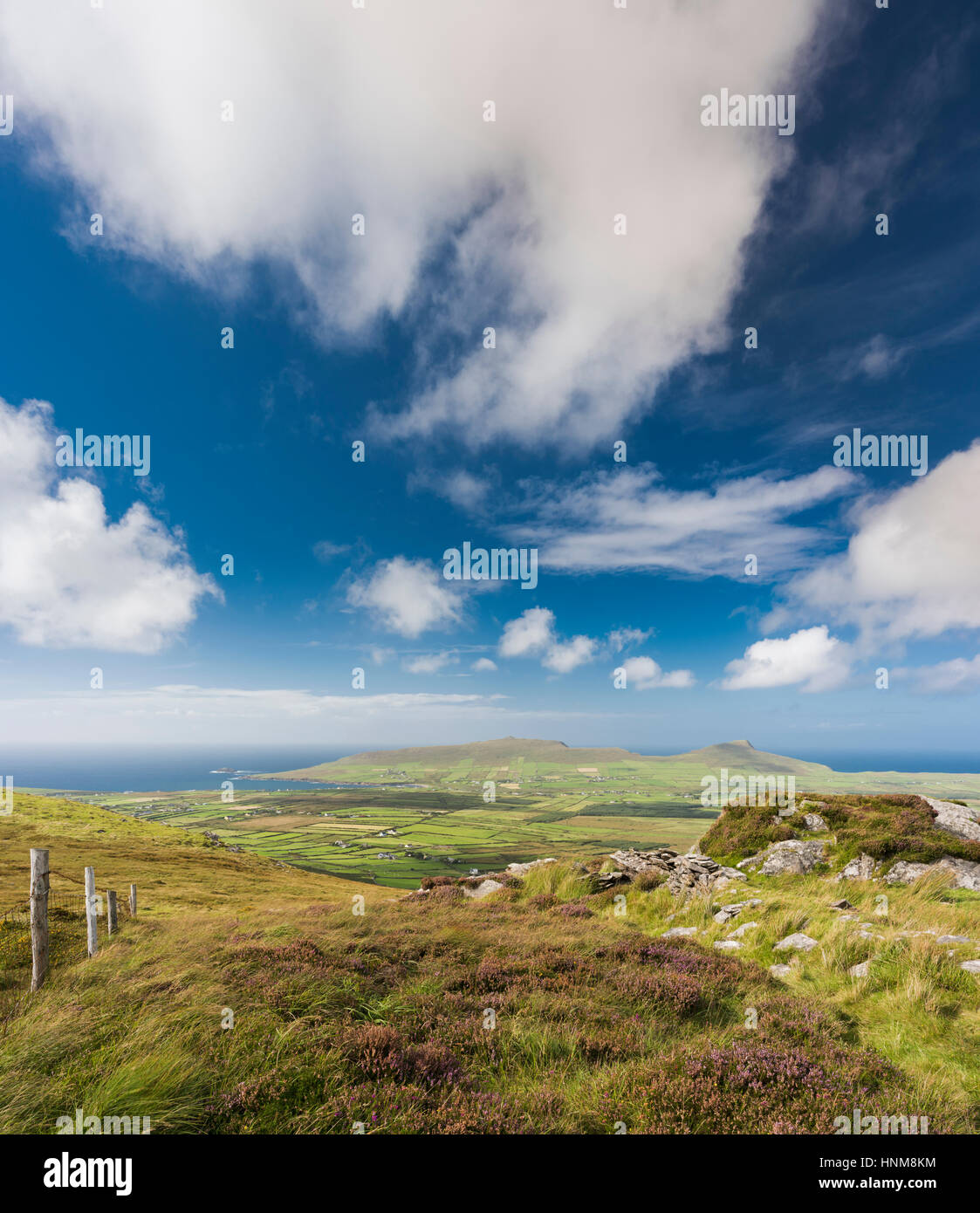 Vista sulle montagne, bog e brughiera del western Penisola di Dingle dal percorso a piedi sulla cima di Reenconnell, nella contea di Kerry, Irlanda Foto Stock