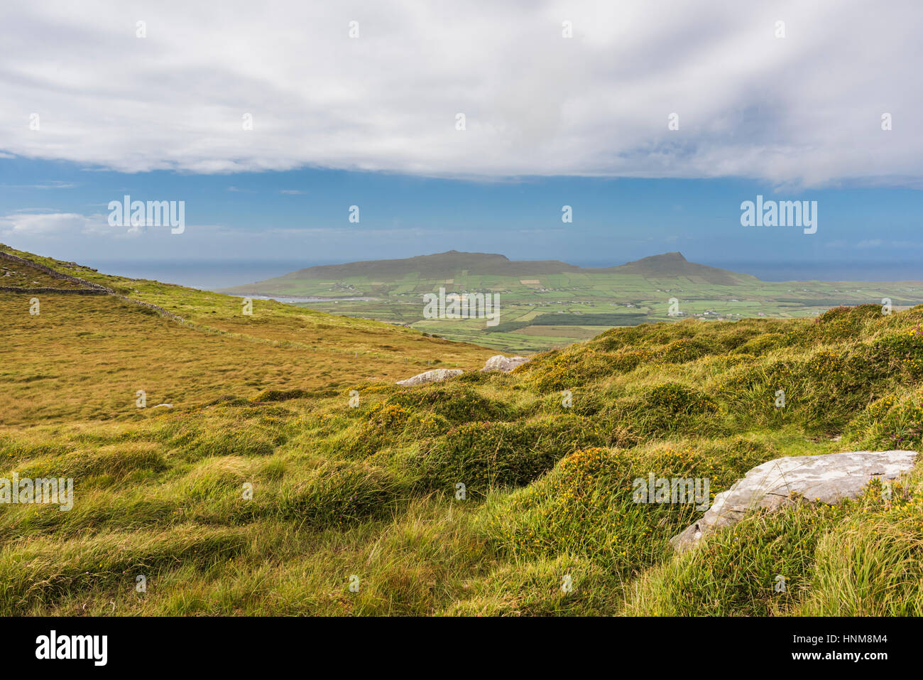 Vista sulle montagne, bog e brughiera del western Penisola di Dingle dal percorso a piedi sulla cima di Reenconnell, nella contea di Kerry, Irlanda Foto Stock