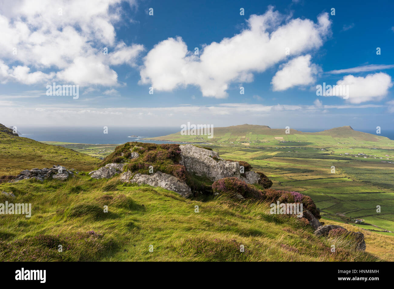 Vista sulle montagne, bog e brughiera del western Penisola di Dingle dal percorso a piedi sulla cima di Reenconnell, nella contea di Kerry, Irlanda Foto Stock