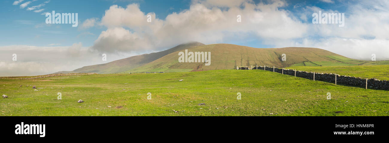 Guardando verso Cruach Mharthain, una montagna sulla penisola di Dingle, nella contea di Kerry, Irlanda dauno percorso a piedi nei pressi di Clogher Foto Stock