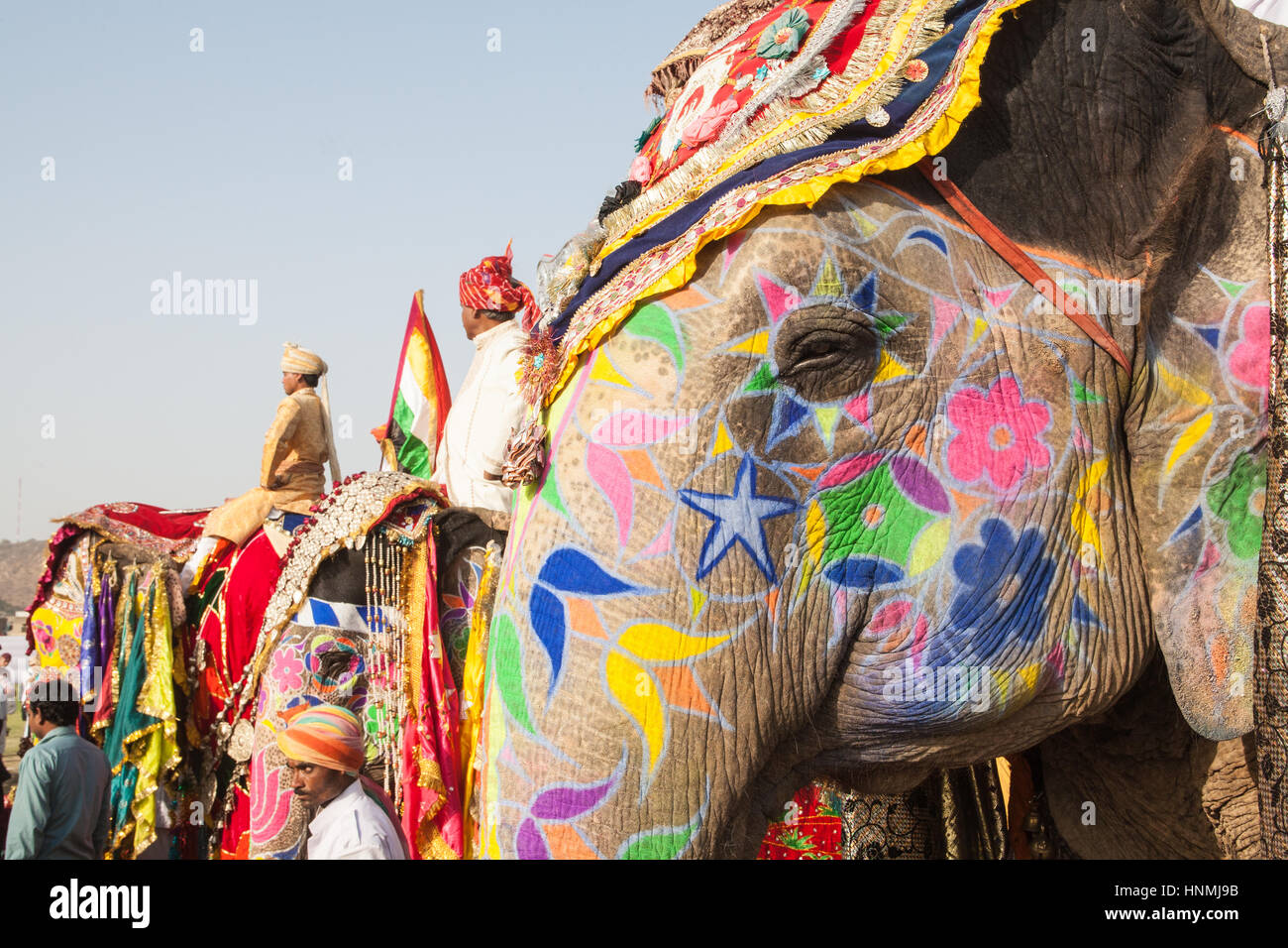 I turisti,folk music,ballo dipinto,decorate,elefanti,a Holi,Molla,colorante elefante gettando,Festival,in Jaipur Rajasthan,l'India,indiana, Asia. Foto Stock