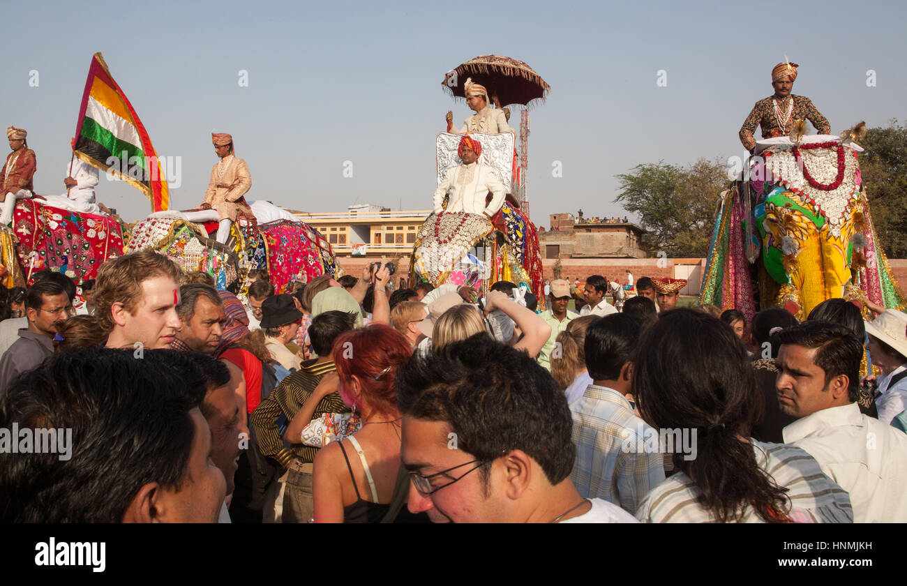 I turisti,folk music,ballo dipinto,decorate,elefanti,a Holi,Molla,colorante elefante gettando,Festival,in Jaipur Rajasthan,l'India,indiana, Asia. Foto Stock