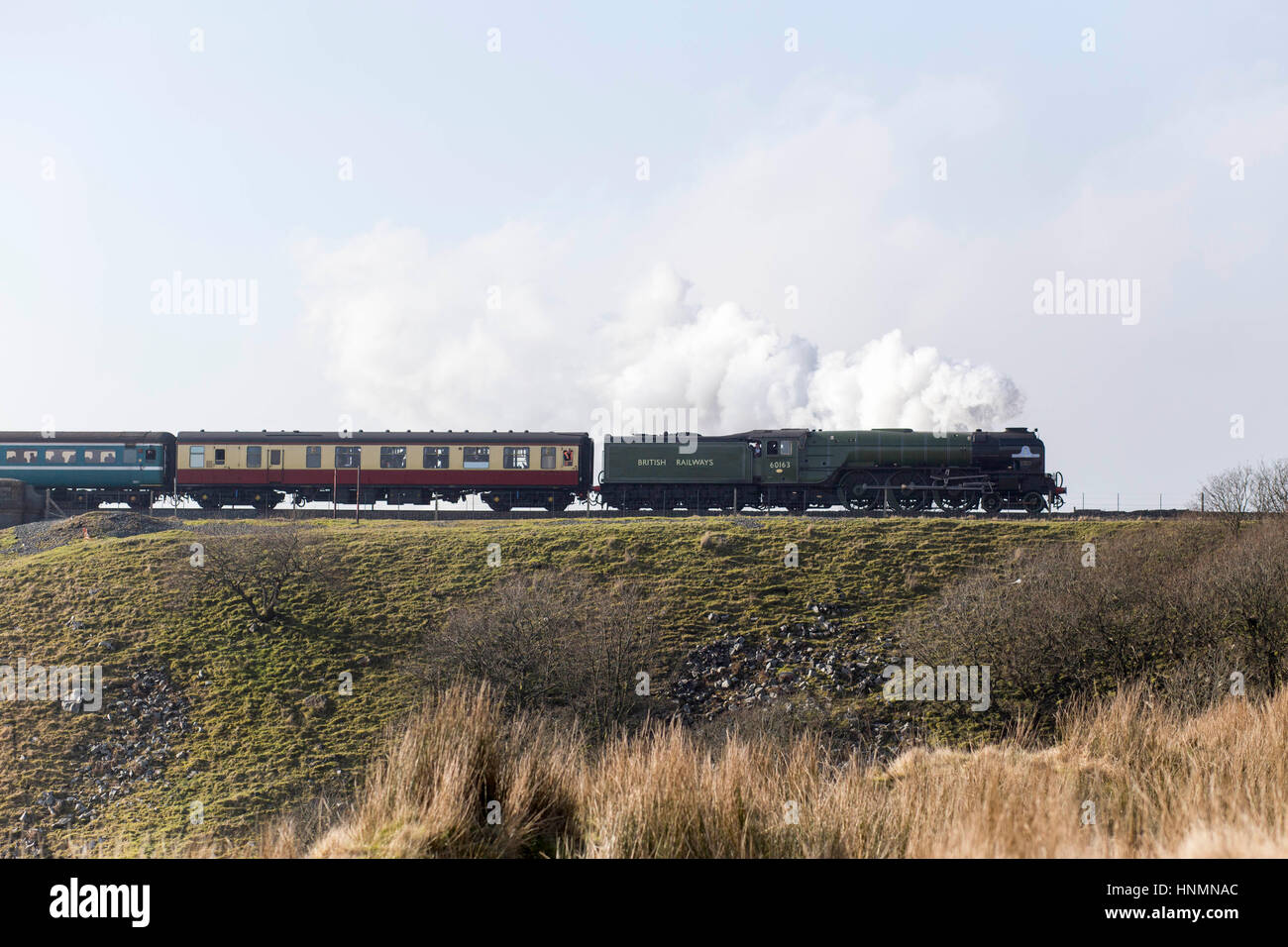 Ribblehead, nello Yorkshire, Regno Unito. Xiv Feb, 2017. Calendario di servizi su un mondo-famoso linea ferroviaria sono alimentate da vapore per la prima volta in decenni di oggi (martedì 14 febbraio 2017) "Tornado' passa sopra il viadotto Ribblehead sulla ferrovia Settle-Carlisle. Tornado è la nuovissima locomotiva a vapore in Gran Bretagna.It è in esecuzione come parte delle celebrazioni per la prossima riapertura della linea dopo le frane. È la prima locomotiva a vapore di bolina, prevista linea principale servizio passeggeri in Gran Bretagna in 50 anni. Credito: Chris Bull/Alamy Live News Foto Stock
