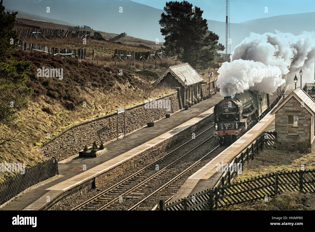 Dent, UK. Xiv Feb, 2017. La prima locomotiva a vapore di bolina treno di servizio per 50 anni visto qui passando attraverso la stazione di ammaccature sull'accontentarsi di carlisle linea. Tornado enngine vapore LNER A1 Class. Andrew Fletcher/Alamy Live News Foto Stock