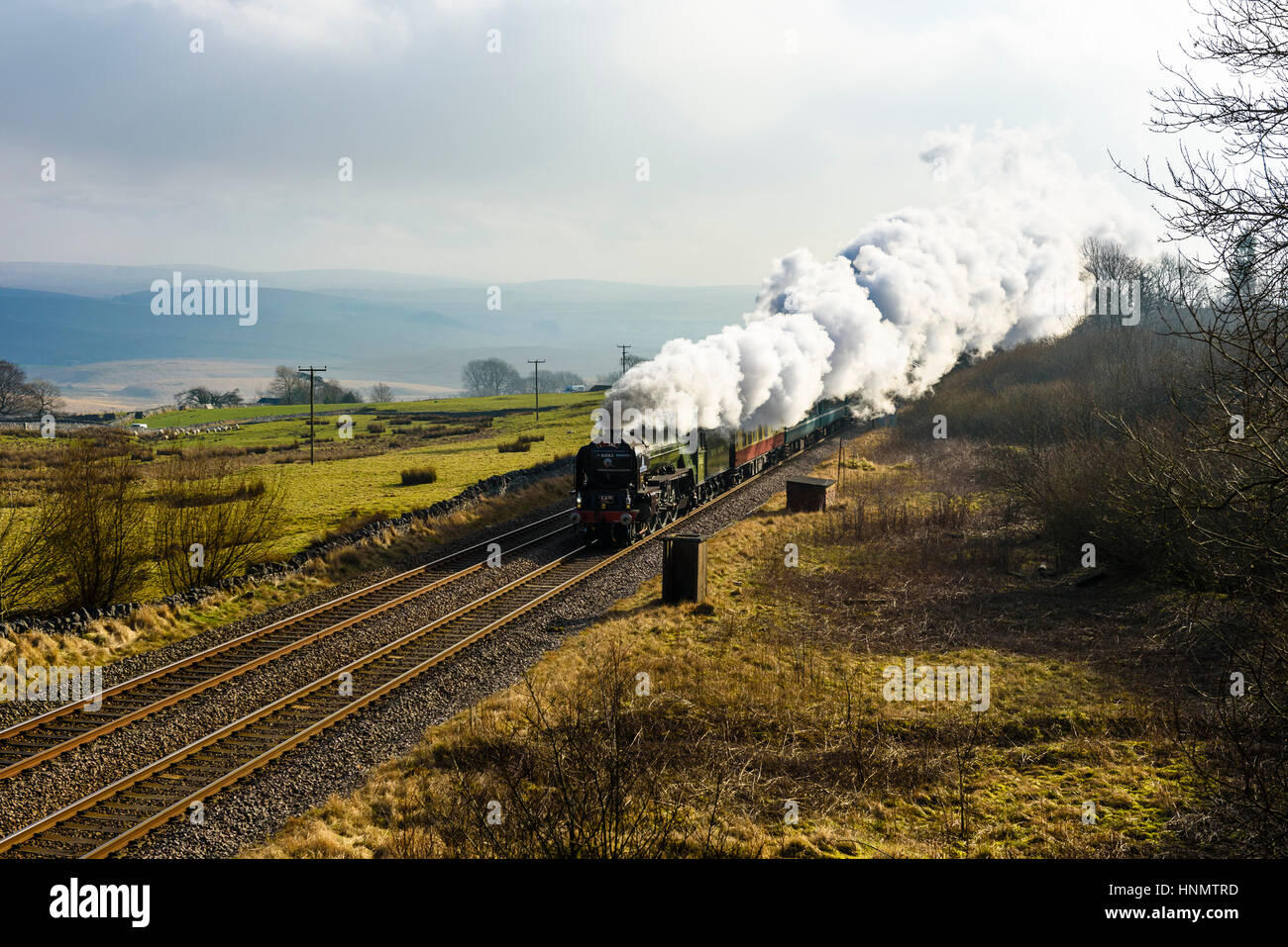 Ribblesdale, North Yorkshire, Regno Unito. Xiv Feb, 2017. Locomotiva a vapore Tornado traina un treno attraverso Ribblesdale sulla linea Settle-Carlisle. Questo è il primo giorno di vapore-bolina servizi pianificati sulla rete ferroviaria nazionale dal 1968. Servizi continuare il mercoledì e il giovedì. L'A1 classe Tornado 60163, completato nel 2008, è la prima linea principale motore di vapore a essere costruita nel Regno Unito a partire dagli anni sessanta. Credito: Jon scintille/Alamy Live News Foto Stock