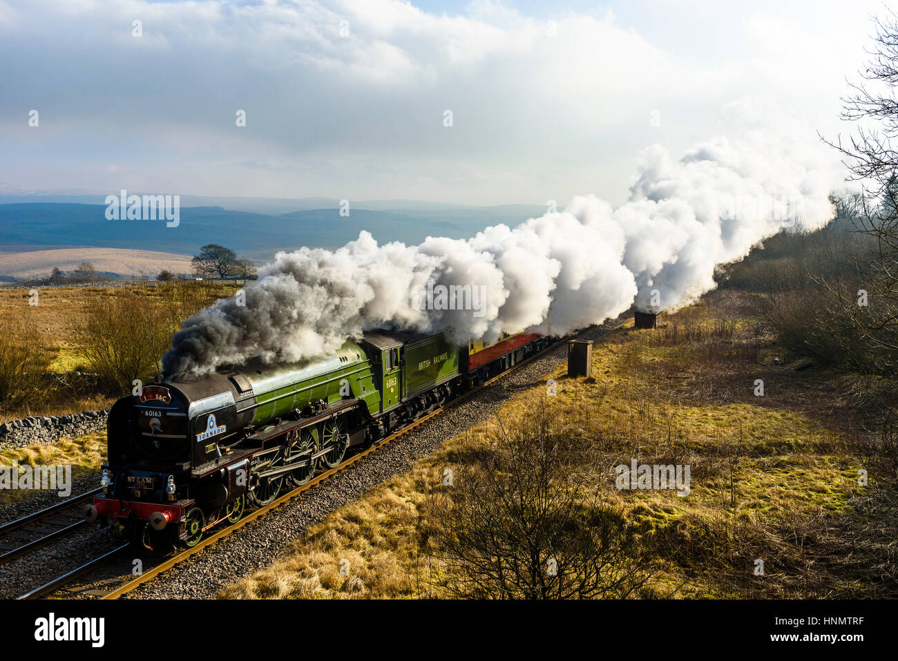 Ribblesdale, North Yorkshire, Regno Unito. Xiv Feb, 2017. Locomotiva a vapore Tornado traina un treno attraverso Ribblesdale sulla linea Settle-Carlisle. Questo è il primo giorno di vapore-bolina servizi pianificati sulla rete ferroviaria nazionale dal 1968. Servizi continuare il mercoledì e il giovedì. L'A1 classe Tornado 60163, completato nel 2008, è la prima linea principale motore di vapore a essere costruita nel Regno Unito a partire dagli anni sessanta. Credito: Jon scintille/Alamy Live News Foto Stock