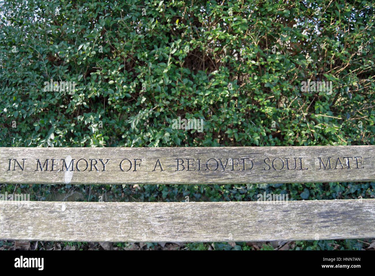 Banco di memorial iscrizione, in memoria di una cara anima gemella, a Twickenham, middlesex, Inghilterra Foto Stock