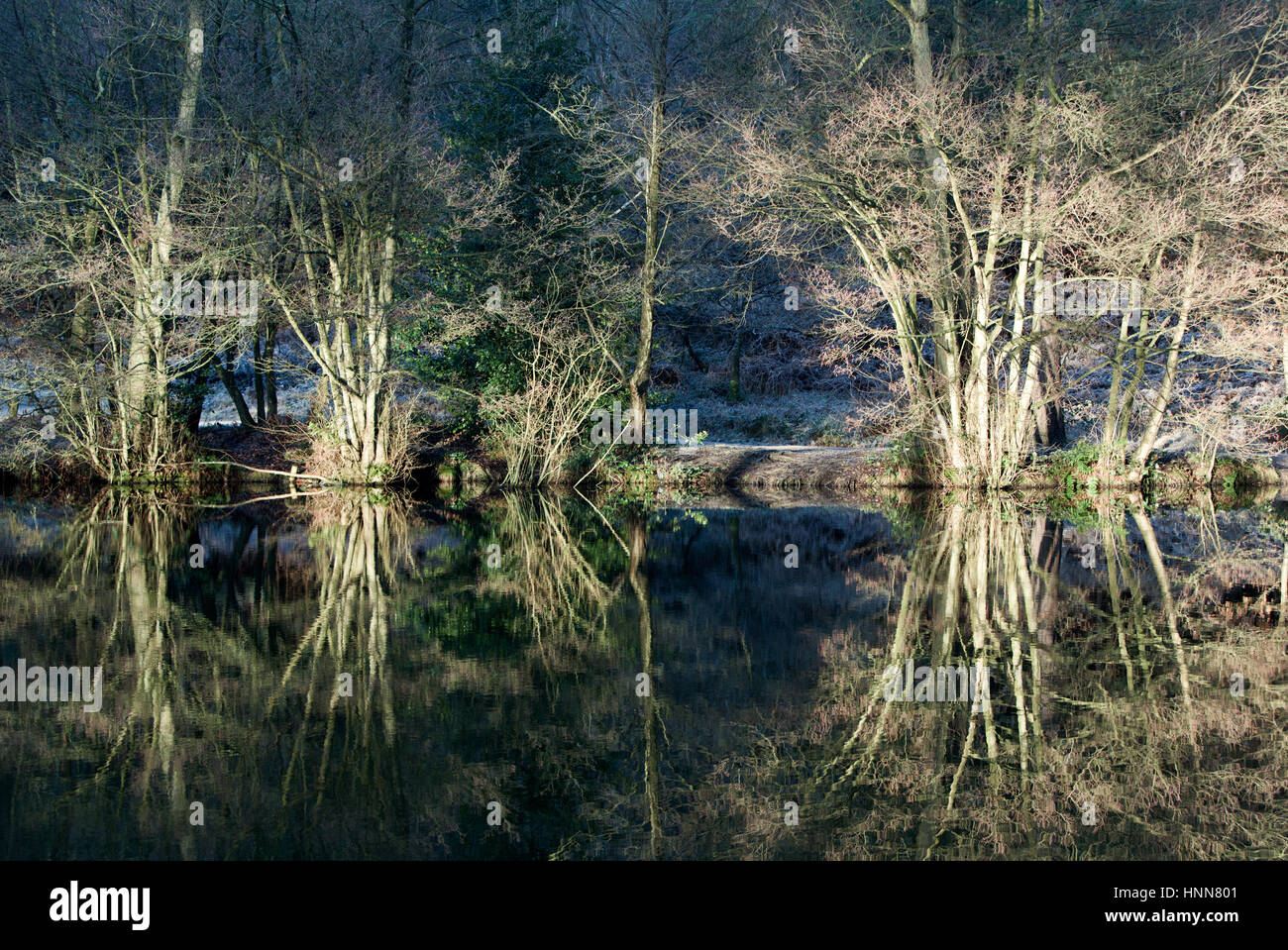 Fiera piscina in legno di quercia e riflessioni di inverno Foto Stock