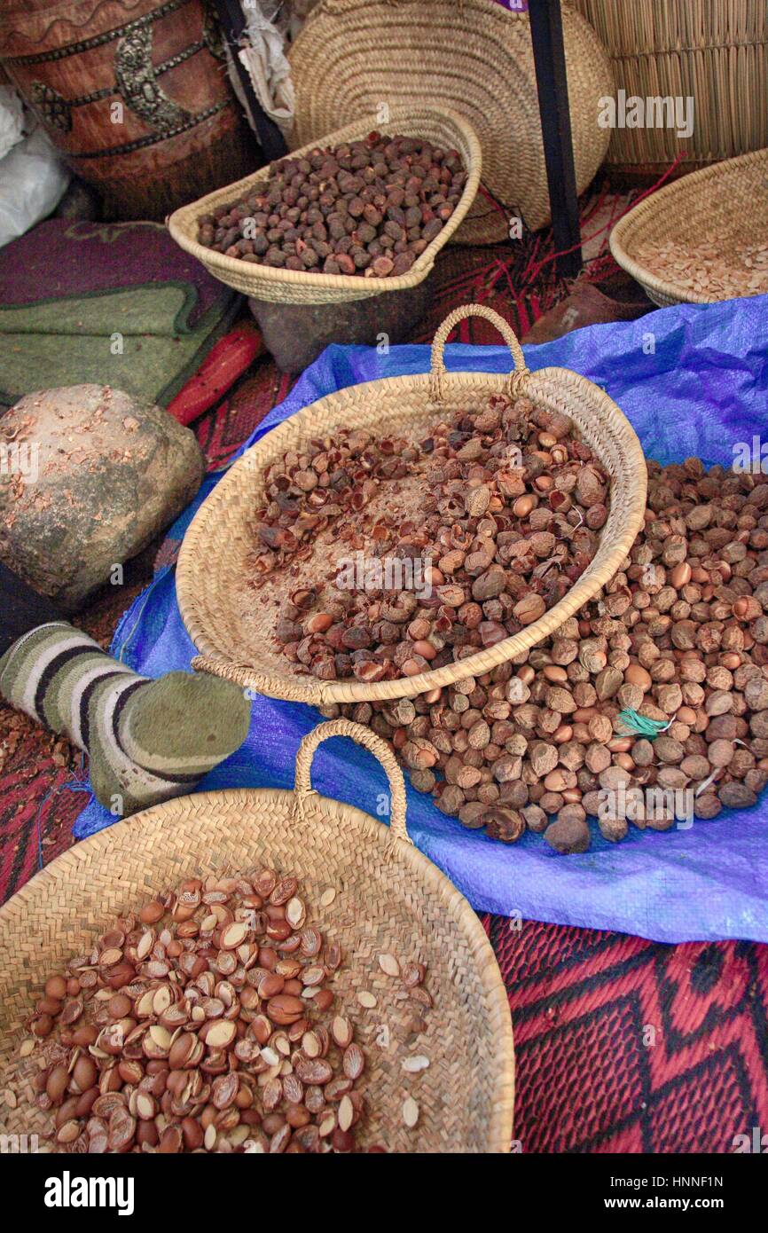 Olio di argan la produzione in donne cooperativa in Marocco Foto stock -  Alamy