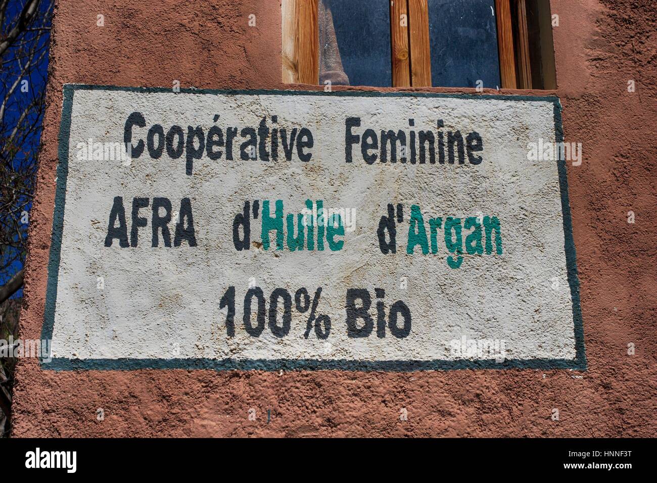 Olio di argan produzione cooperativa femminile in Marocco Foto Stock