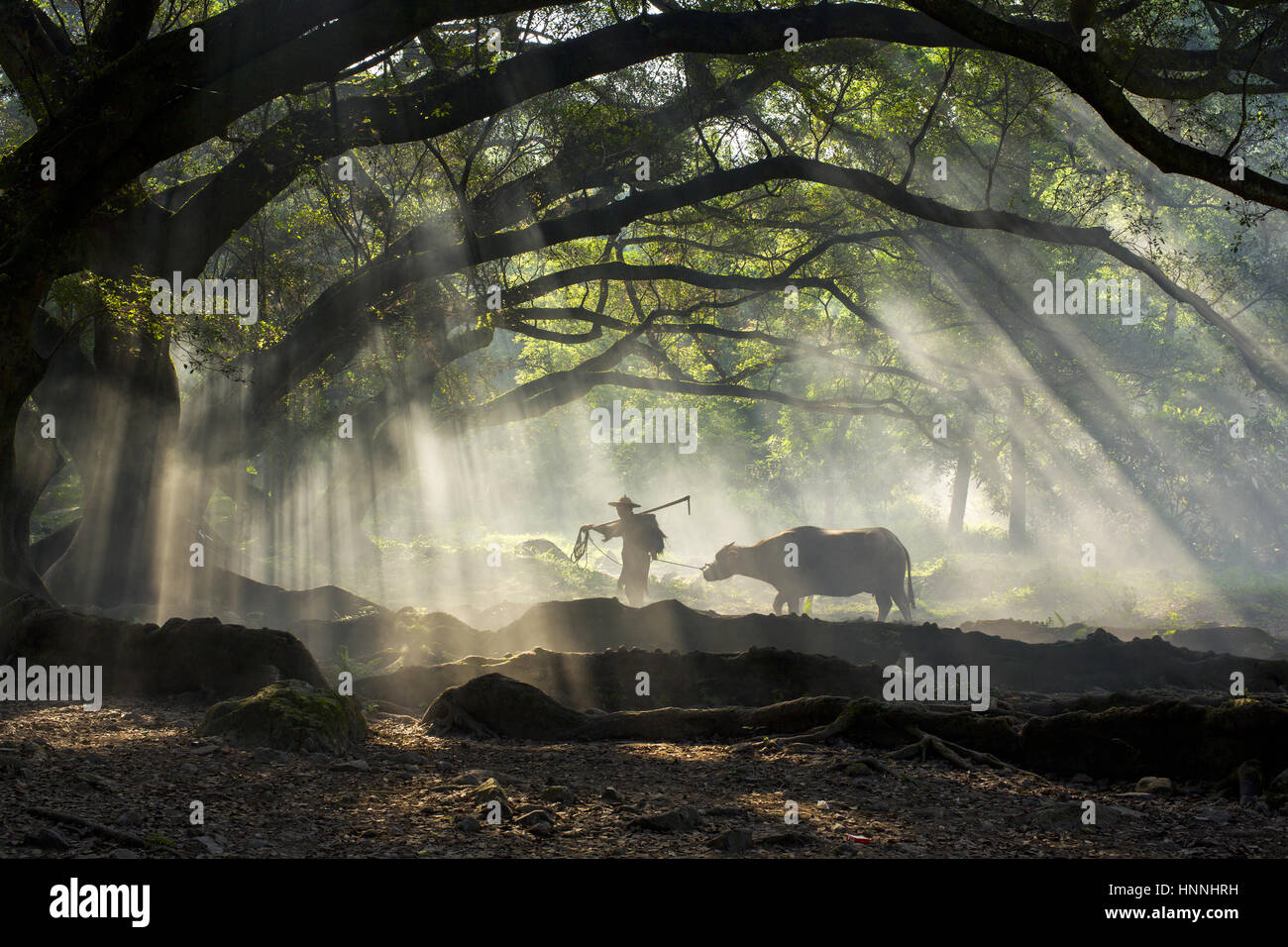 Gli agricoltori in Xiapu,provincia del Fujian,Cina Foto Stock