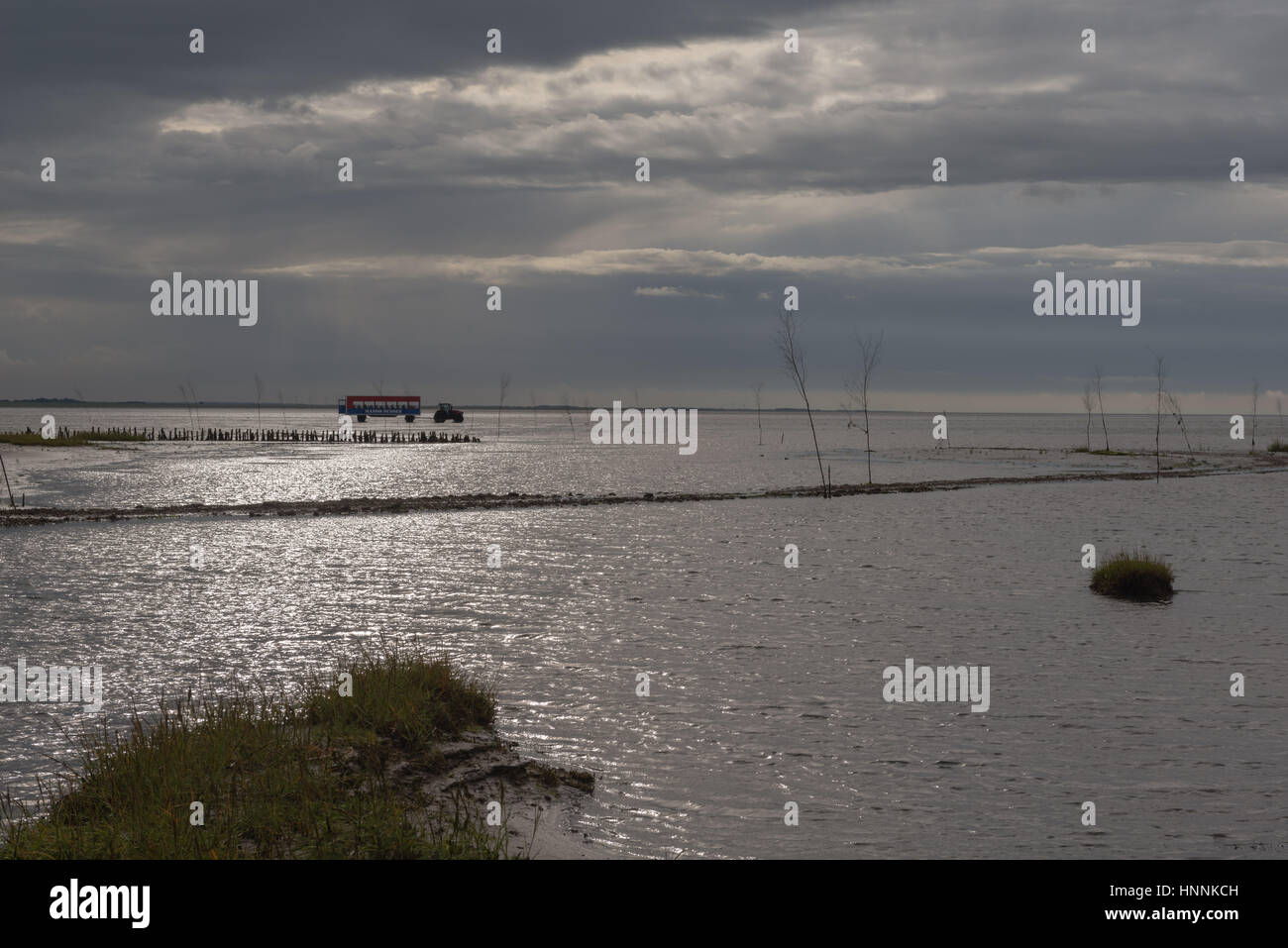 Il " trattore Bus' per Mandoe Island attraverso il danese il Wadden Sea, UNECSCO Patrimonio Naturale Mondiale, nel Mare del Nord a Sud dello Jutland, Danimarca Foto Stock