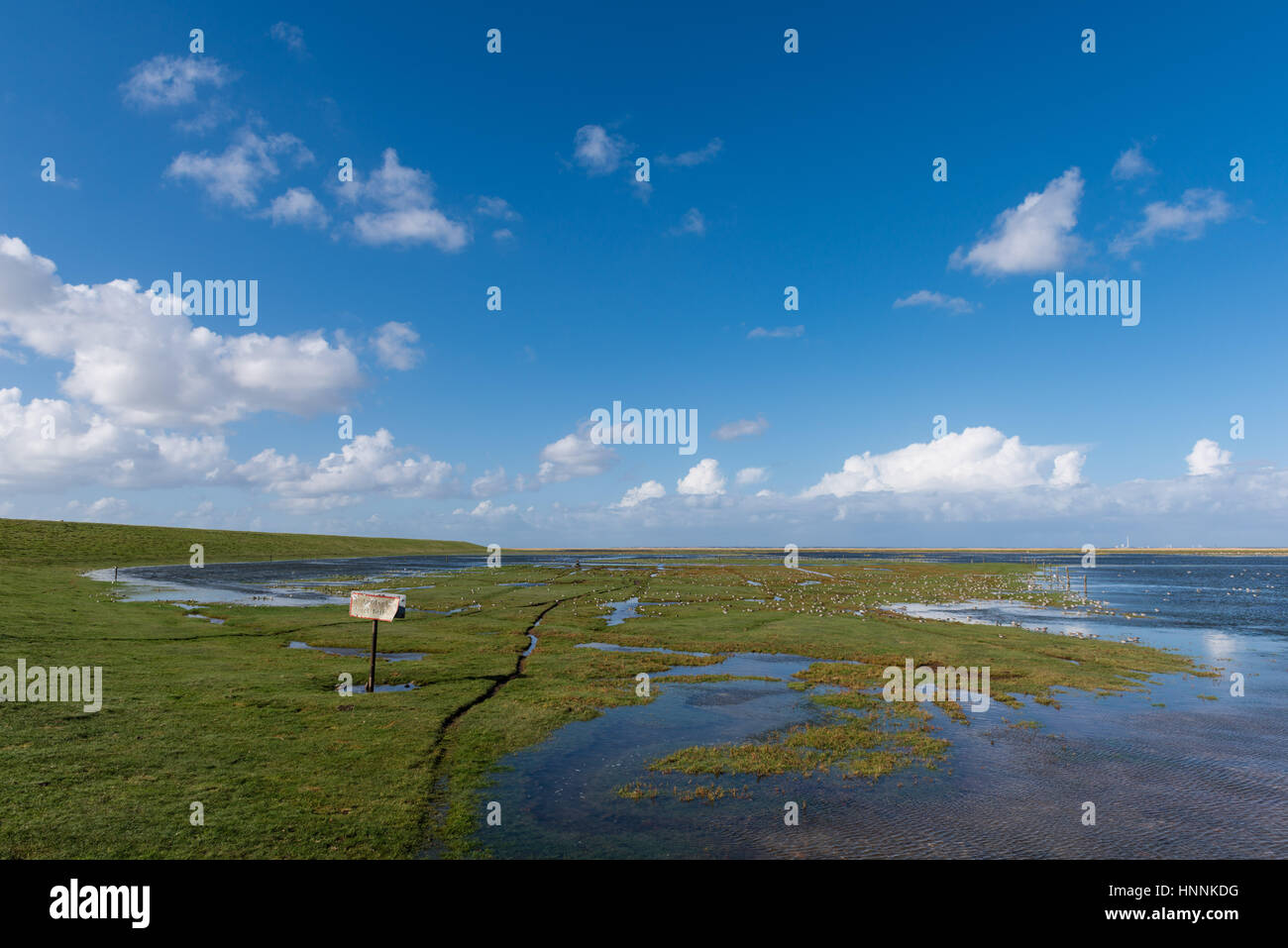 Il danese del Mare di Wadden vicino Mandoe Isola, UNECSCO Patrimonio Naturale Mondiale, nel Mare del Nord a Sud dello Jutland, Danimarca Foto Stock