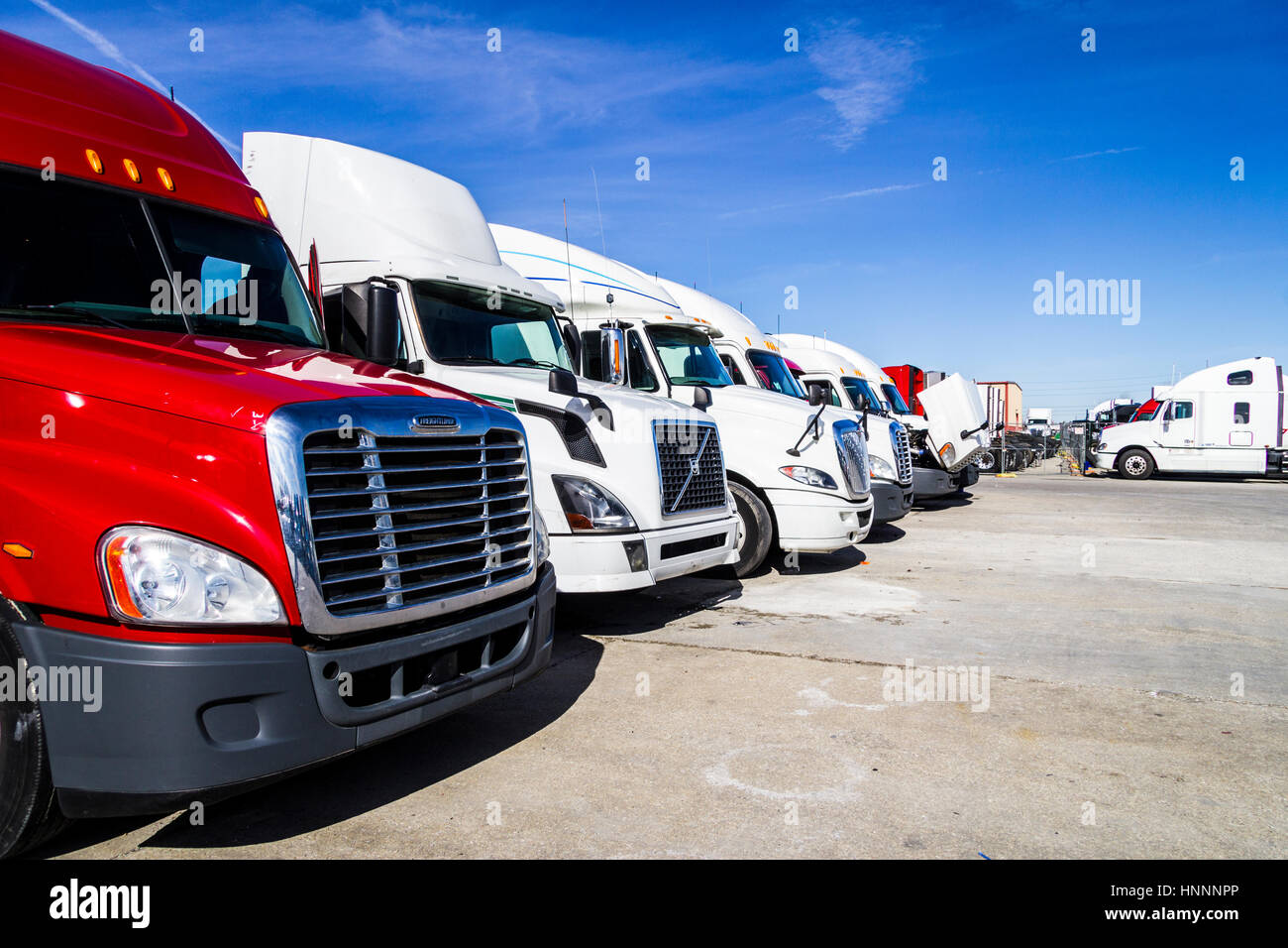 Indianapolis - Circa Febbraio 2017: colorata semi rimorchio per trattore camion schierate per vendita V Foto Stock