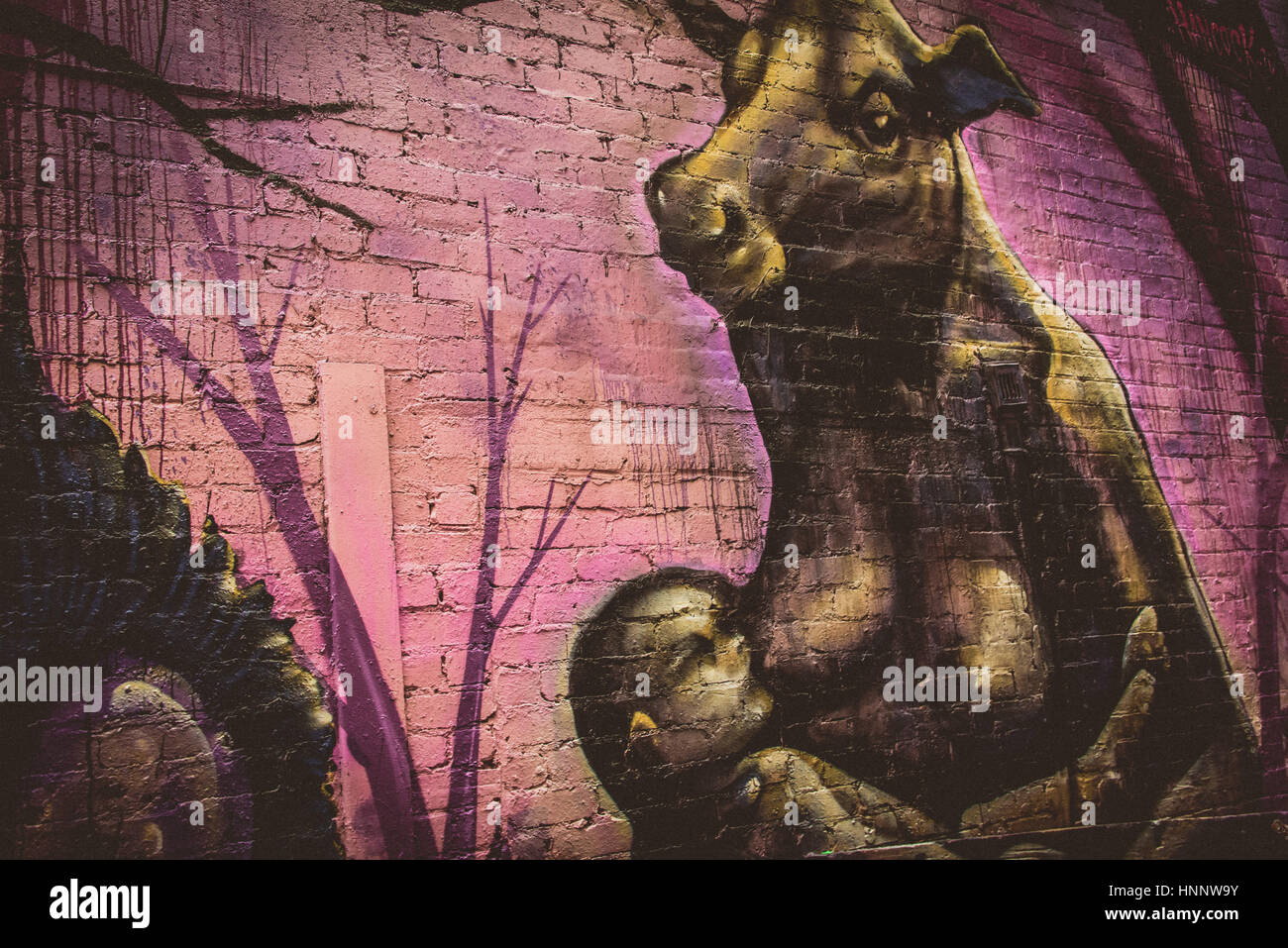 Arte di strada per le strade di Melbourne, Victoria, Australia Foto Stock