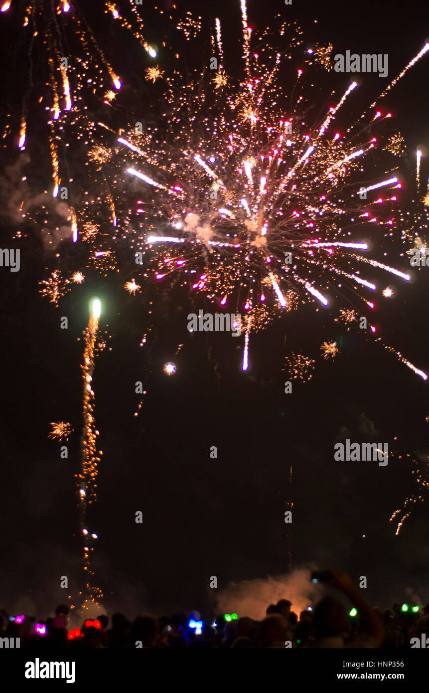Luminose fuochi d' artificio esplosioni sul n uce di sky. Foto Stock