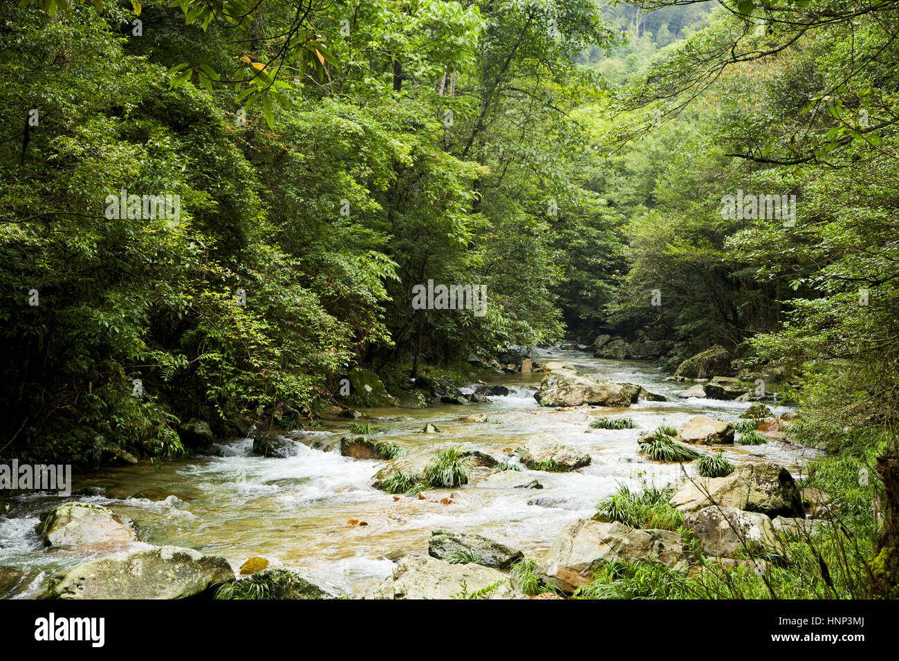 Scenario di Jinggangshan, provincia di Jiangxi, Cina Foto Stock
