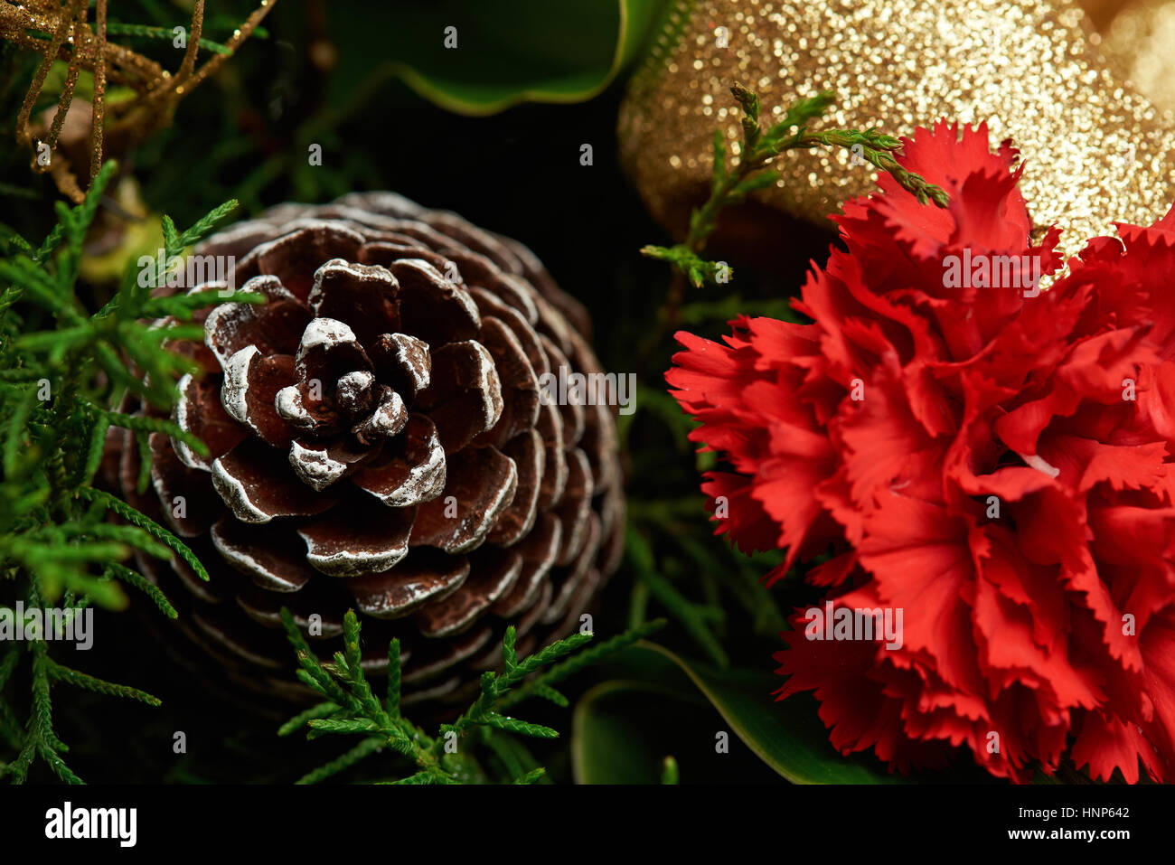 Vicino sul cono di pino con fiore rosso sulla decorazione di Natale sfondo Foto Stock