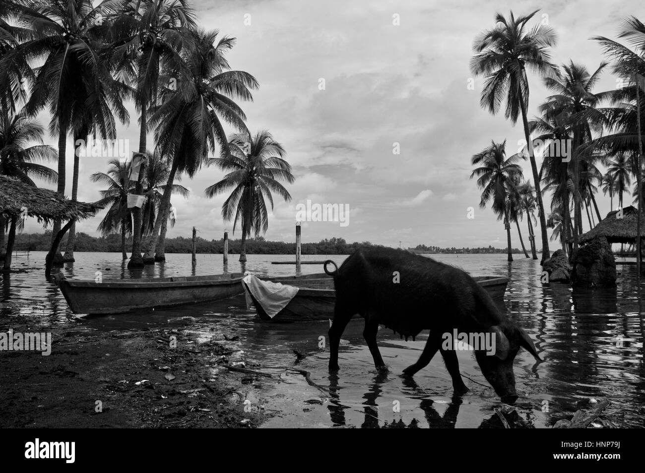 Scene in Guatemala Foto Stock