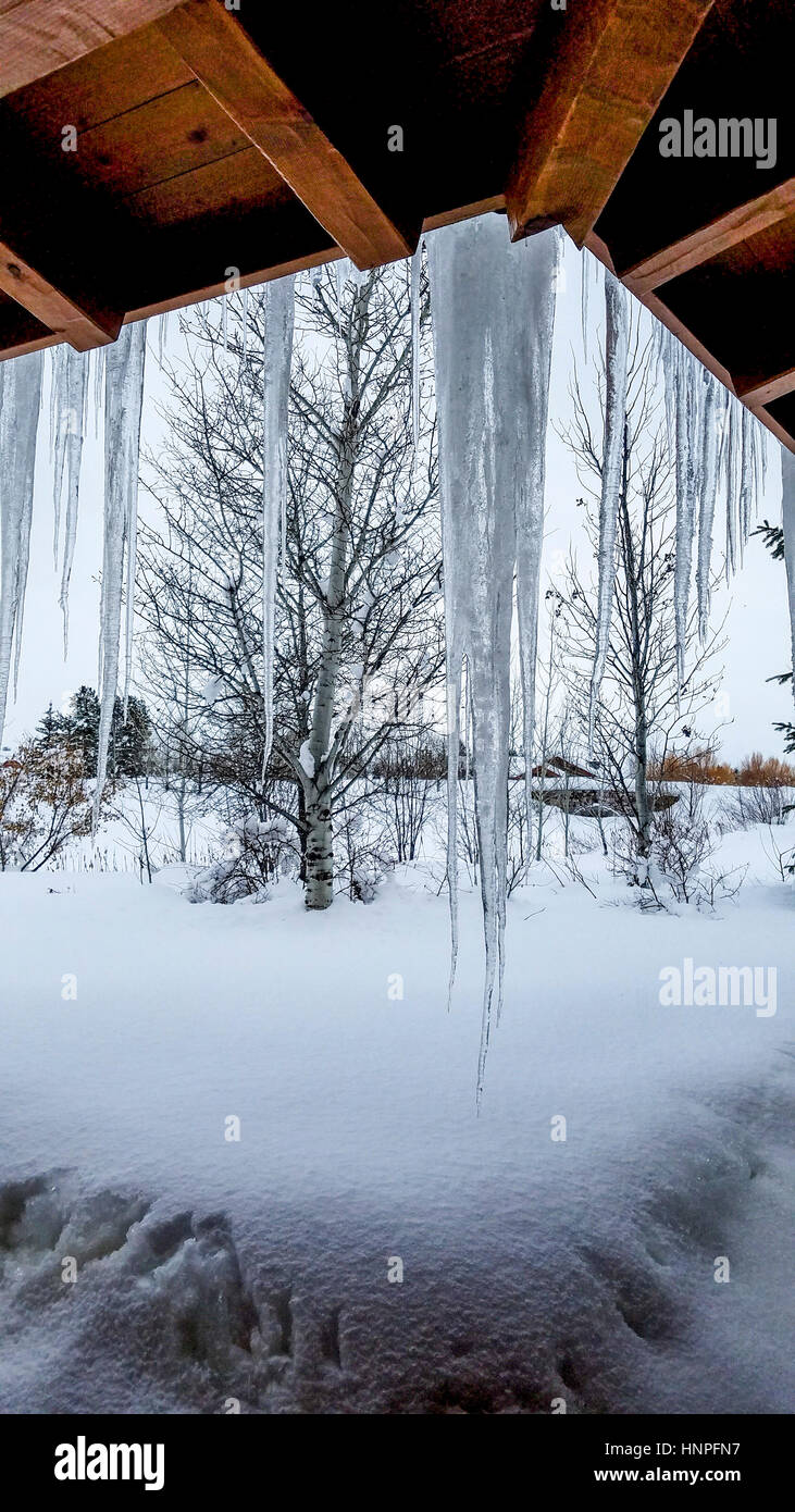 Il pittoresco ghiaccioli pendono da un tetto durante il periodo invernale in Idaho meridionale. Foto Stock