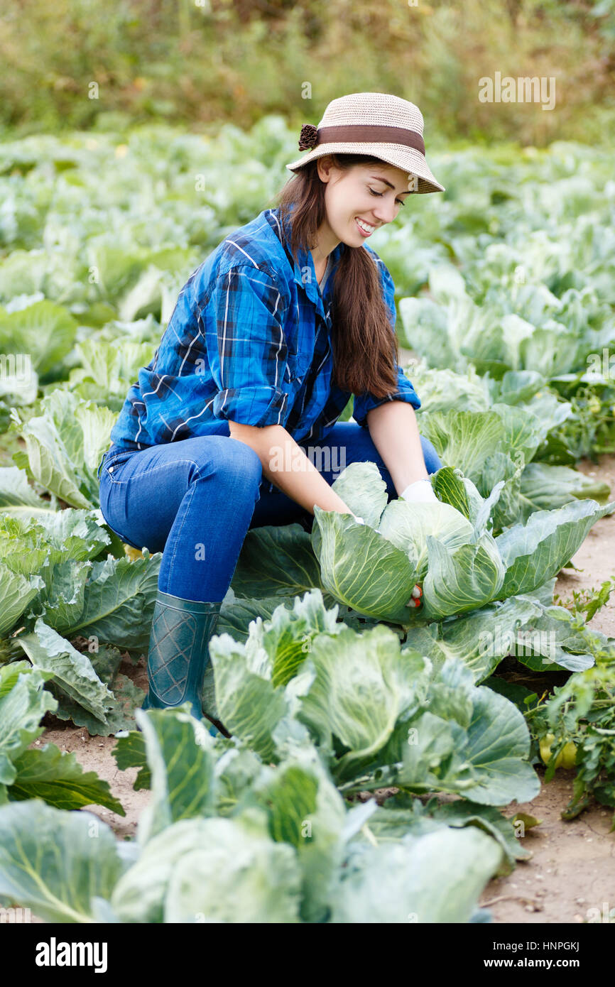 Donna in piantagione di cavolo. Giardiniere con cavolo in giardino. La mietitura. Giovane agricoltore la raccolta del cavolo. Felice agricoltore con cavolo. Ragazza mostra una cro Foto Stock