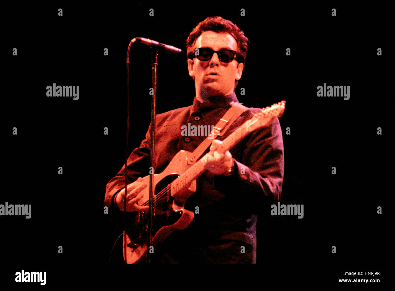 Elvis Costello sul palco 1984 Foto Stock