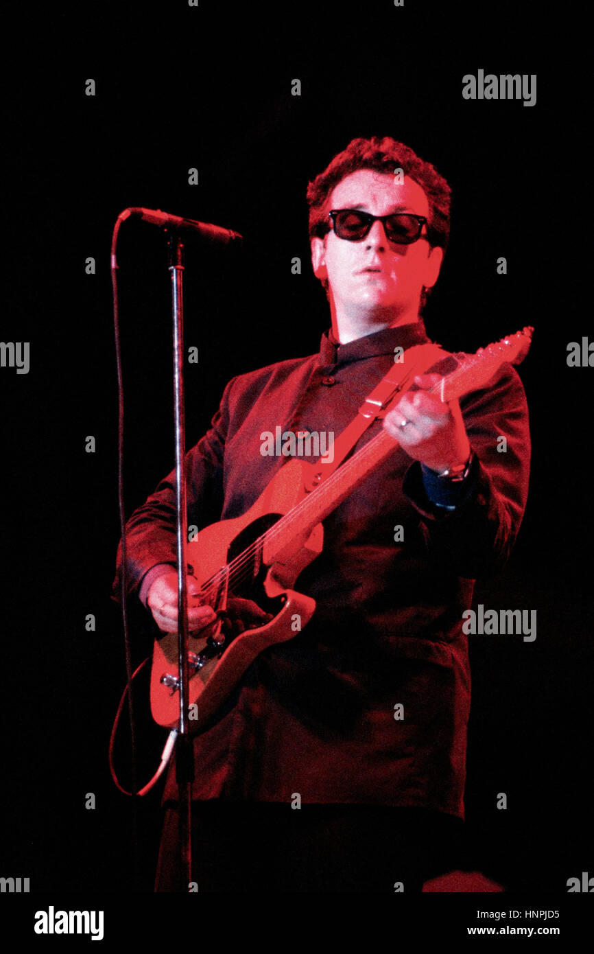 Elvis Costello sul palco 1984 Foto Stock