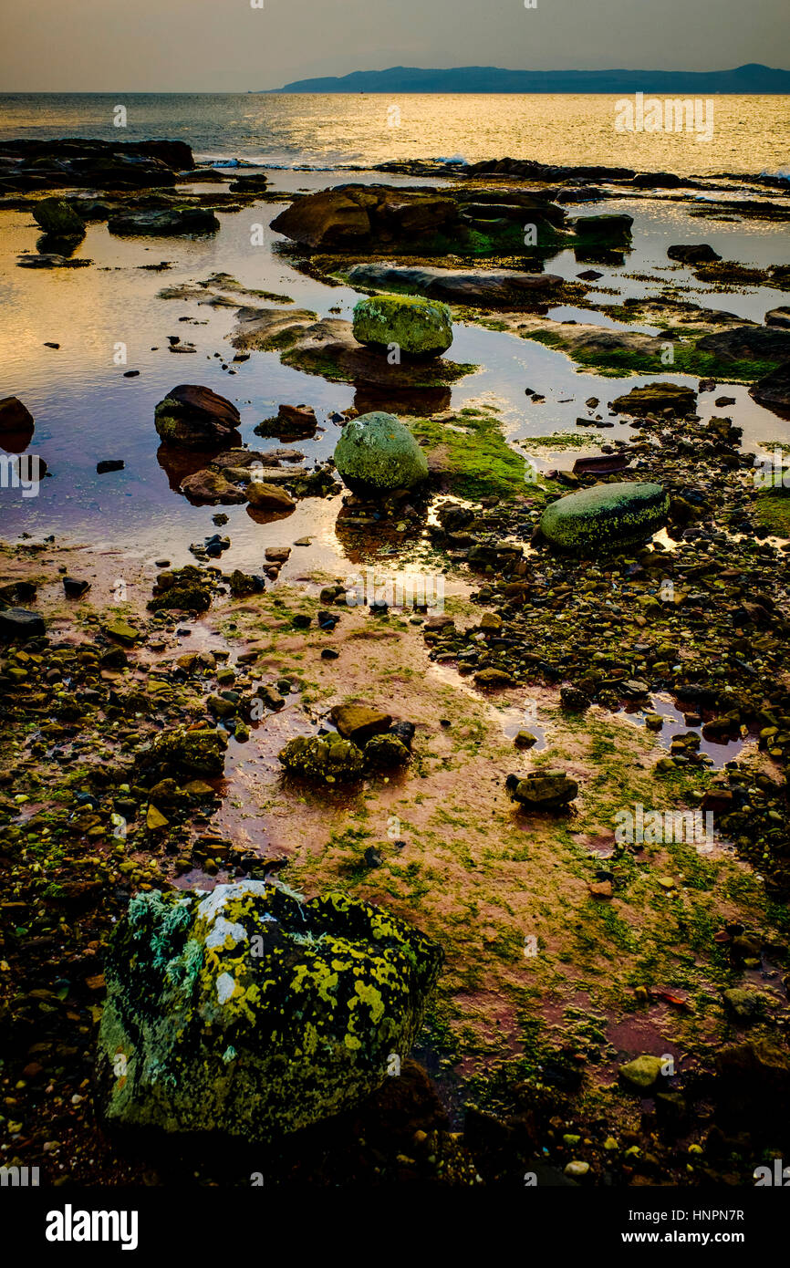 Luce della Sera sulle rocce al piccolo Skate Bay sulla costa occidentale dell'isola di Great Cumbrae, Scozia. L'Isle of Bute può essere visto in backgr Foto Stock
