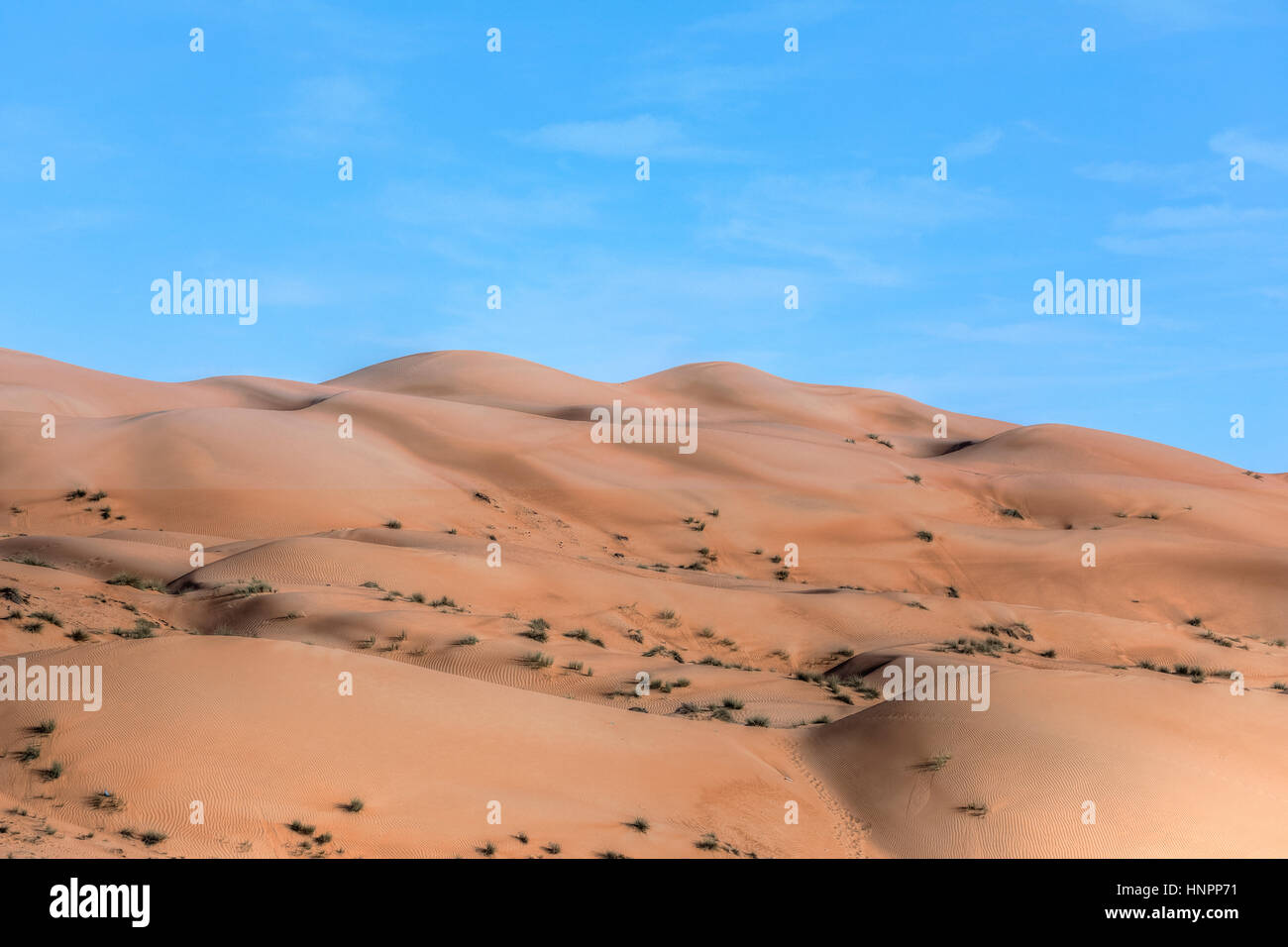 Wahiba Sands, Oman, Medio Oriente e Asia Foto Stock