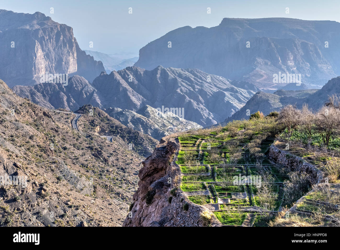 Jebel Akhdar, Oman, Medio Oriente e Asia Foto Stock