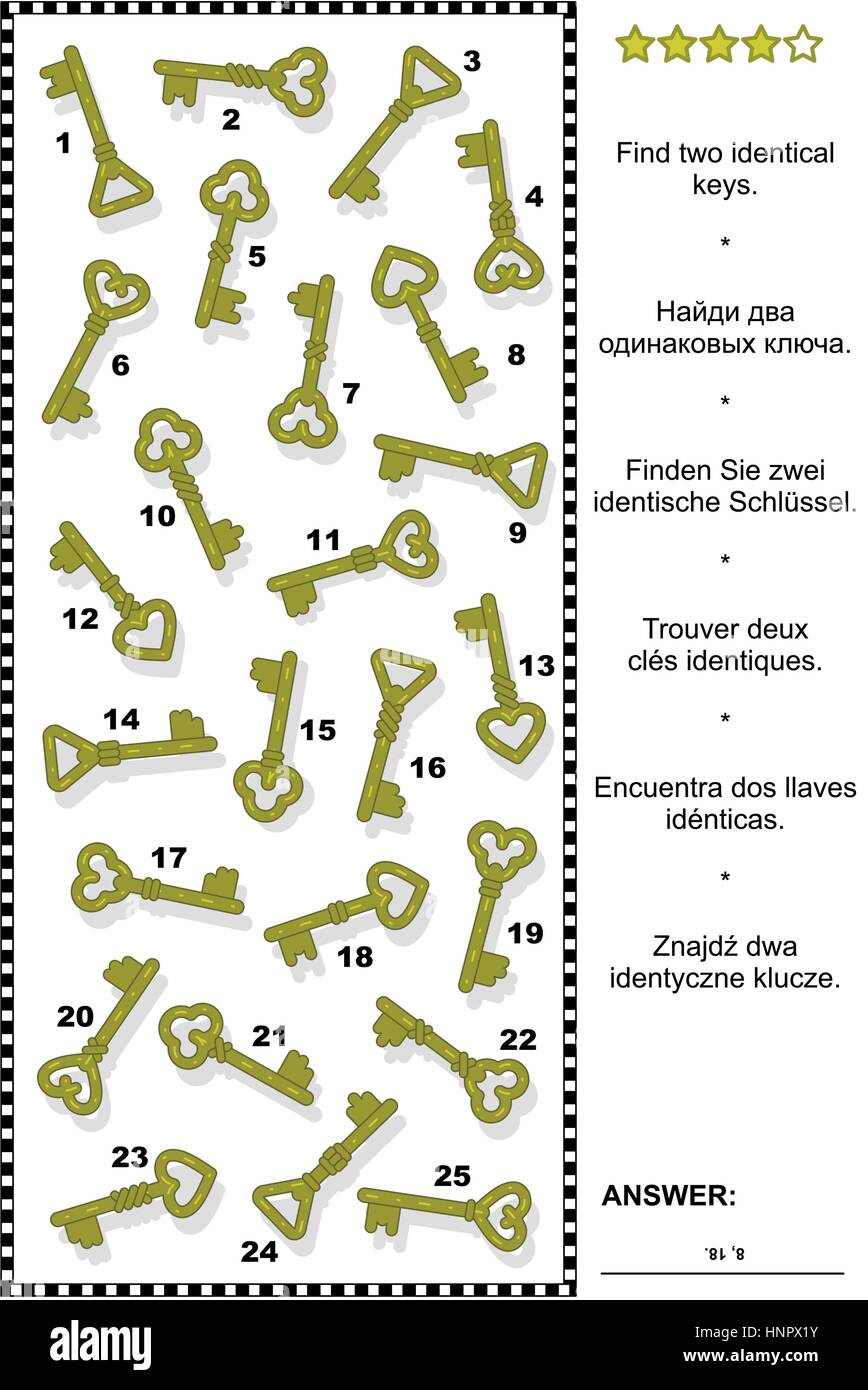 Visual puzzle per adulti (i bambini sono i benvenuti, troppo): trovare due chiavi identiche. Risposta inclusa. Illustrazione Vettoriale