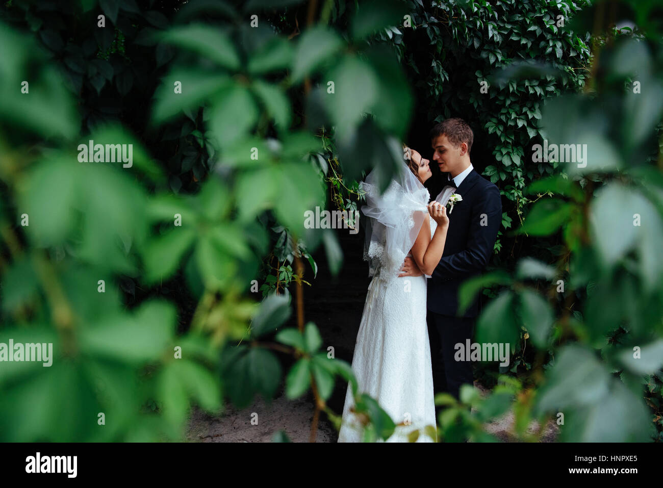 Bella giovani sposi kissing , biondo sposa con flowe Foto Stock